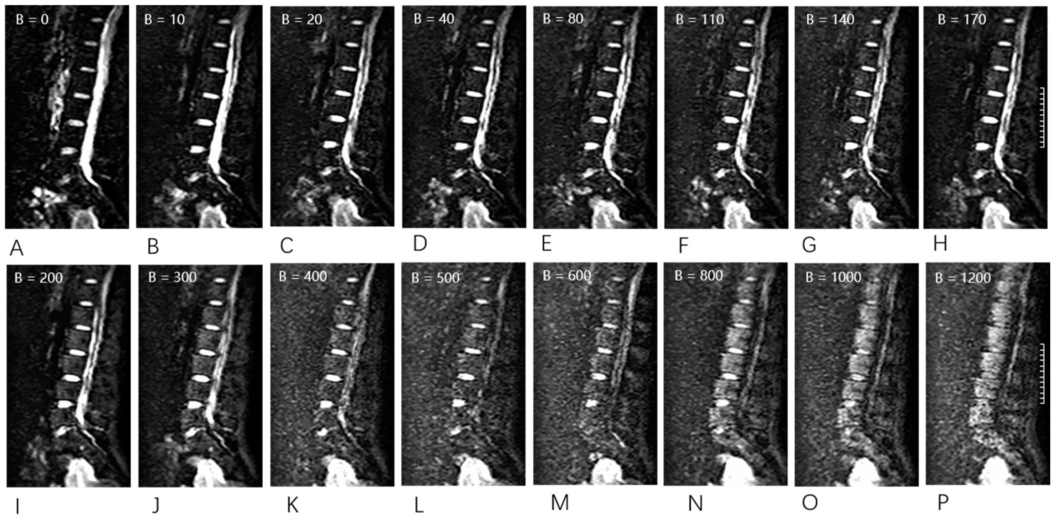 Bioengineering 10 00710 g003