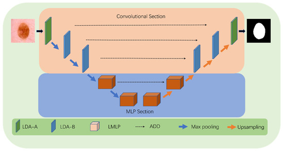 LcmUNet: A Lightweight Network Combining CNN and MLP for
