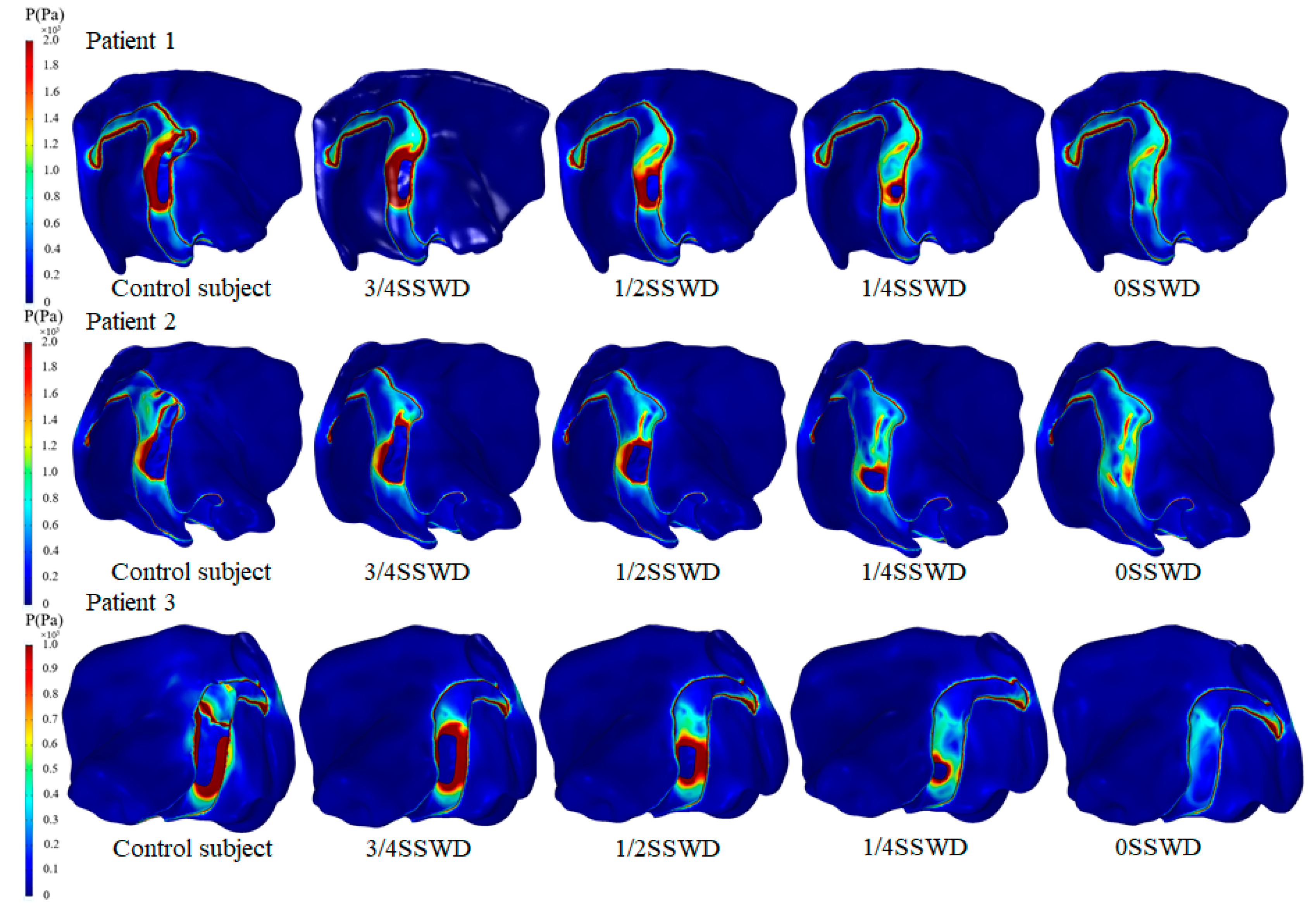 Bioengineering 10 00715 g005 Bioengineering 10 00715 g005