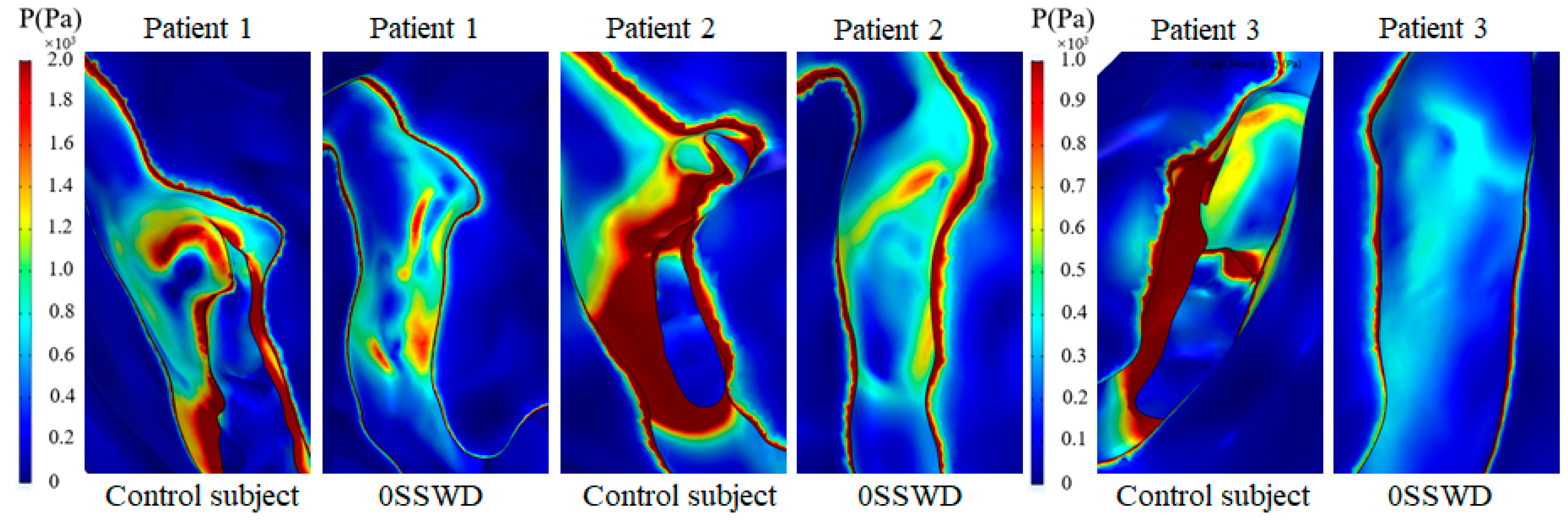 Bioengineering 10 00715 g006 Bioengineering 10 00715 g006