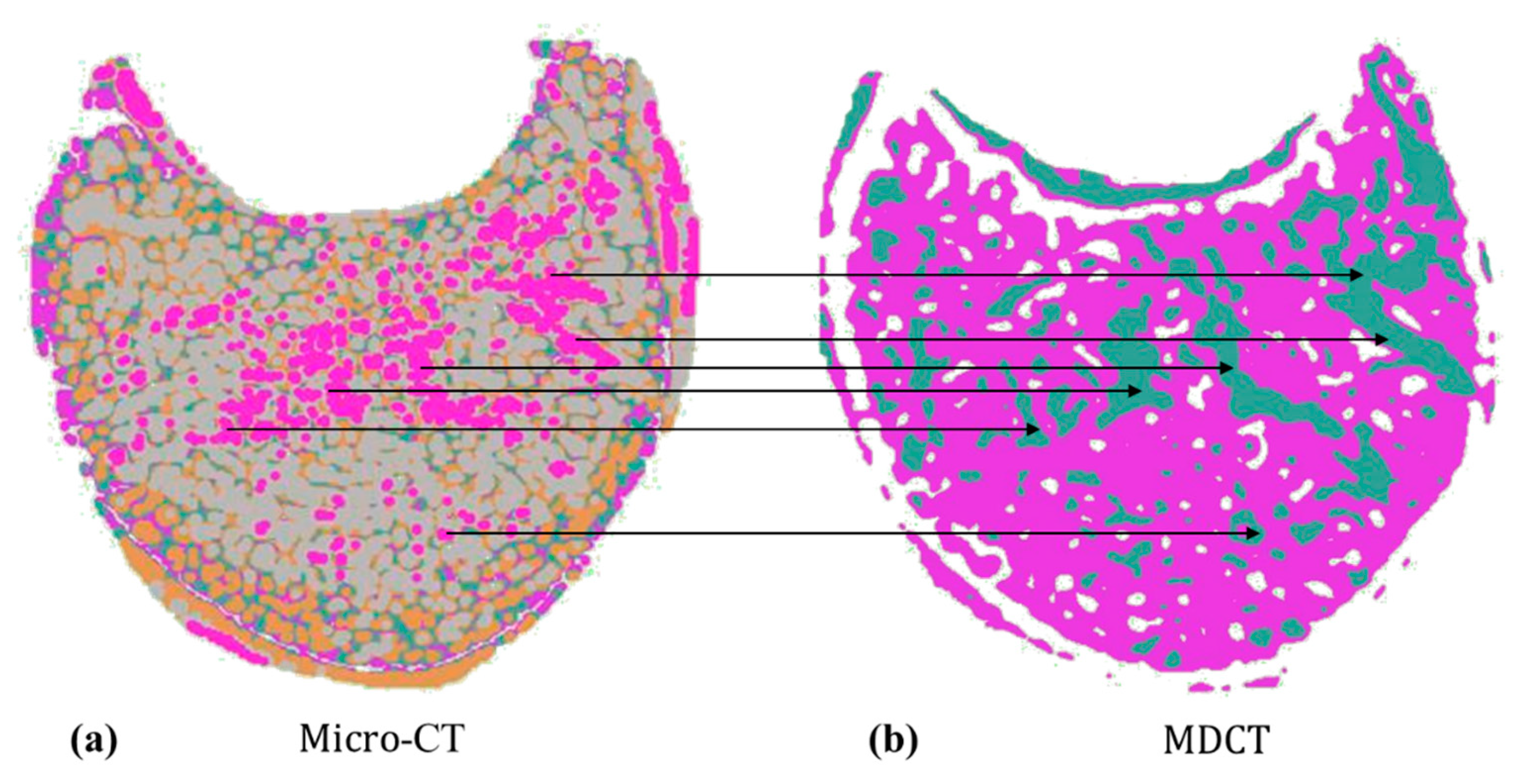 Bioengineering 10 00716 g001 Bioengineering 10 00716 g001