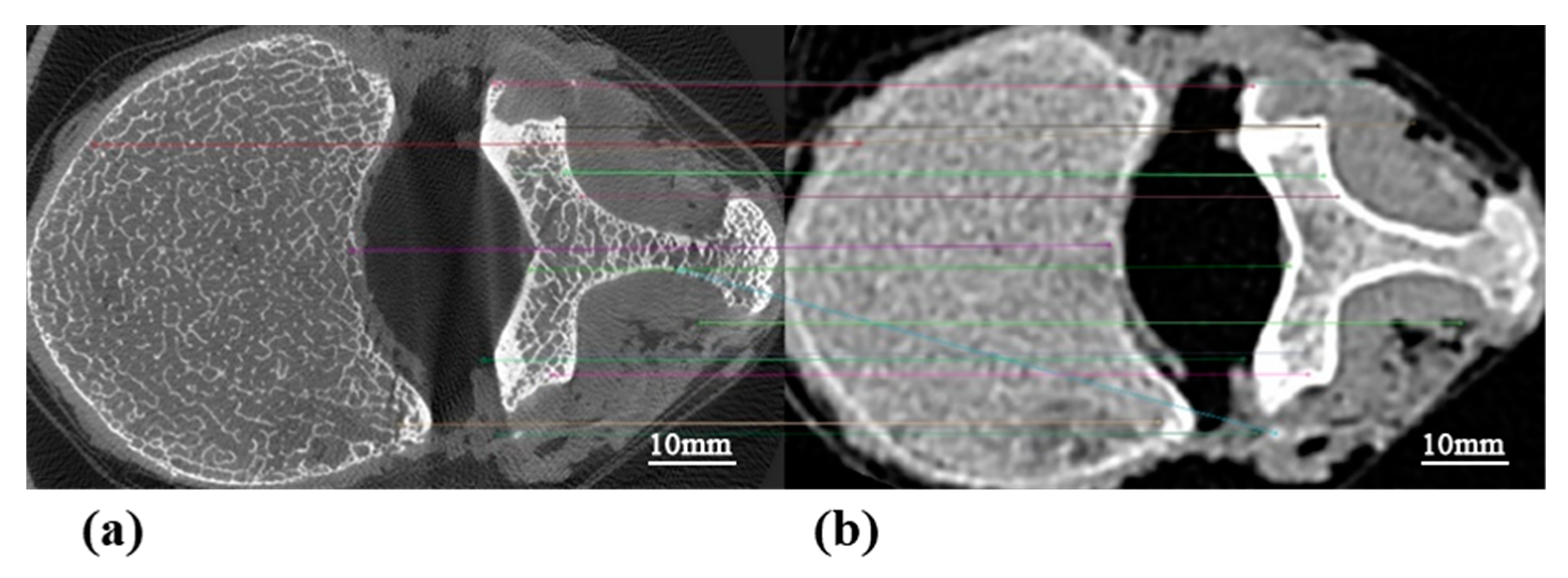 Bioengineering 10 00716 g004 Bioengineering 10 00716 g004