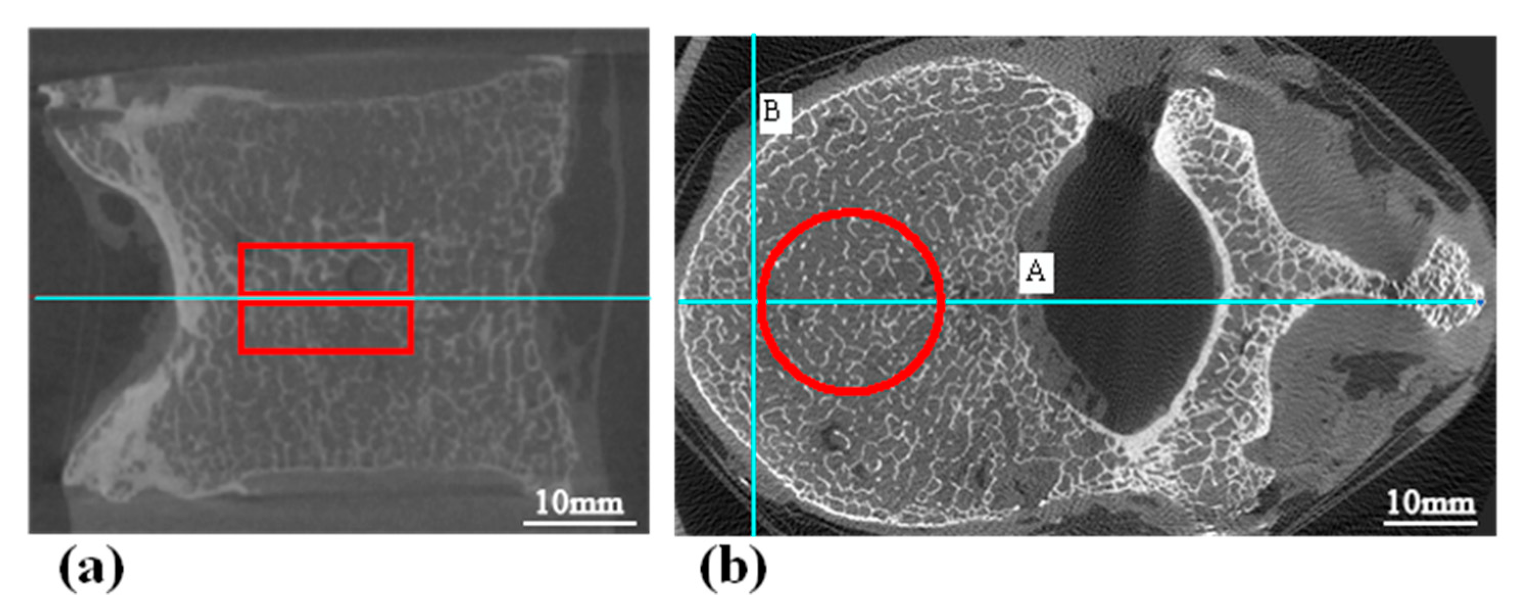 Bioengineering 10 00716 g005 Bioengineering 10 00716 g005