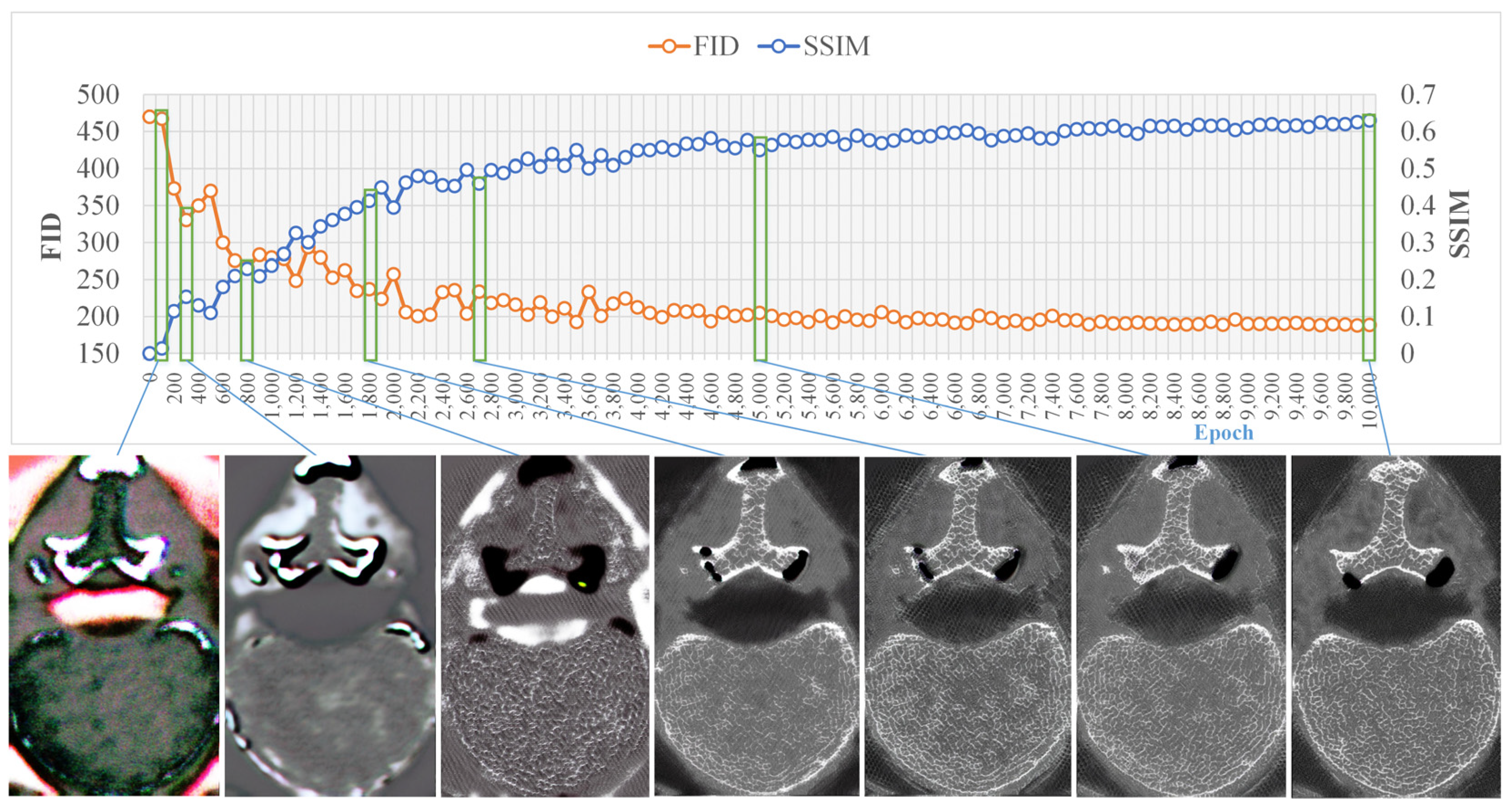 Bioengineering 10 00716 g006 Bioengineering 10 00716 g006