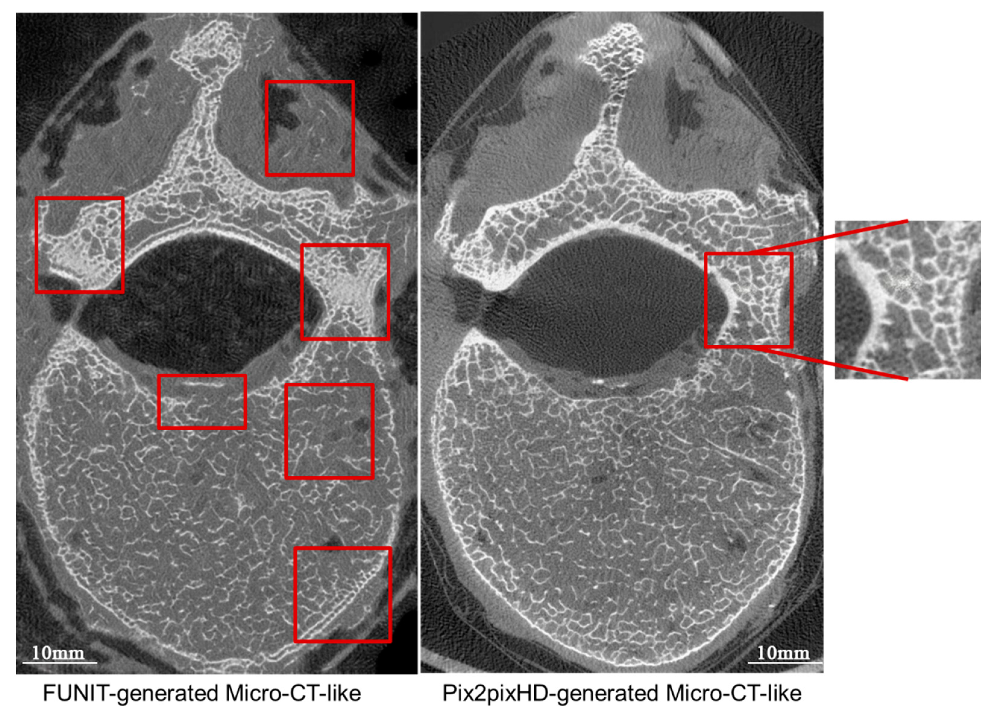 Bioengineering 10 00716 g013 Bioengineering 10 00716 g013