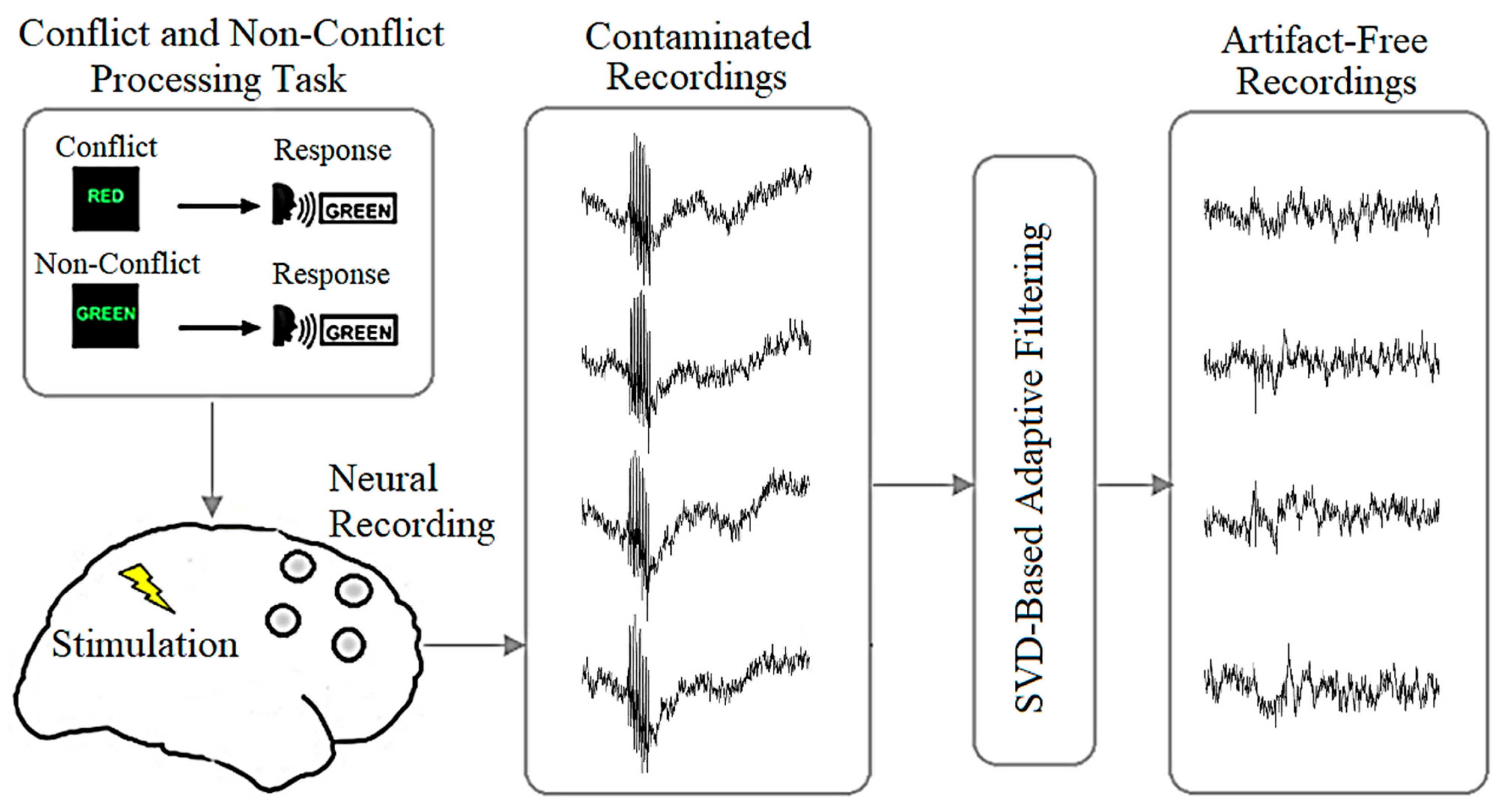 Bioengineering 10 00719 g001