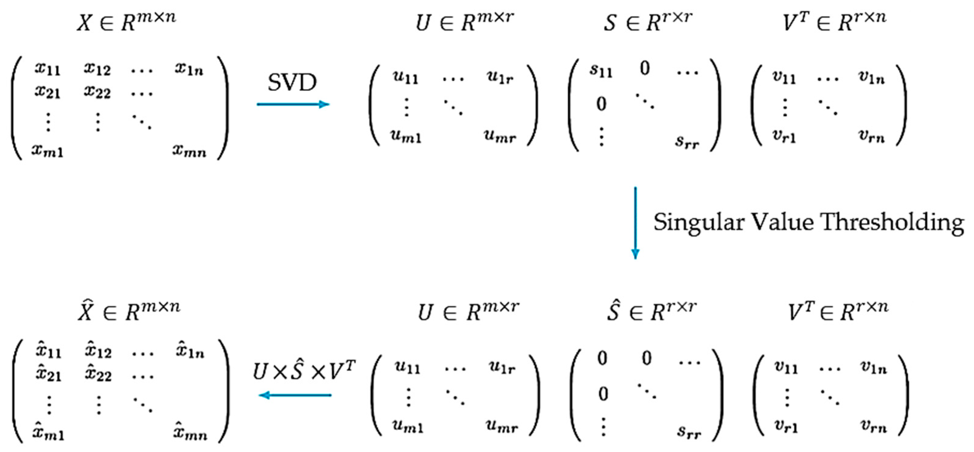 Bioengineering 10 00719 g003