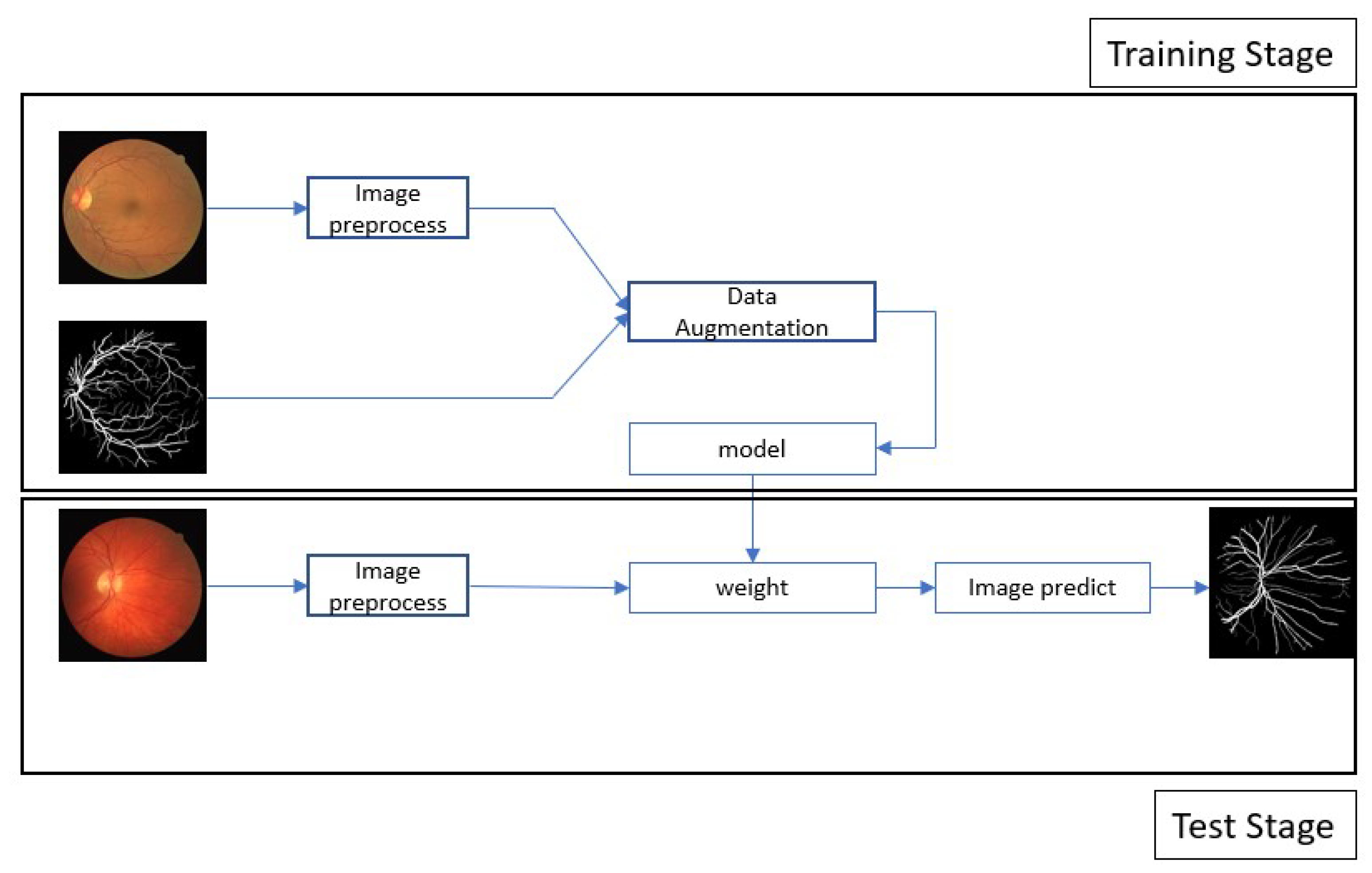 Bioengineering 10 00722 g001