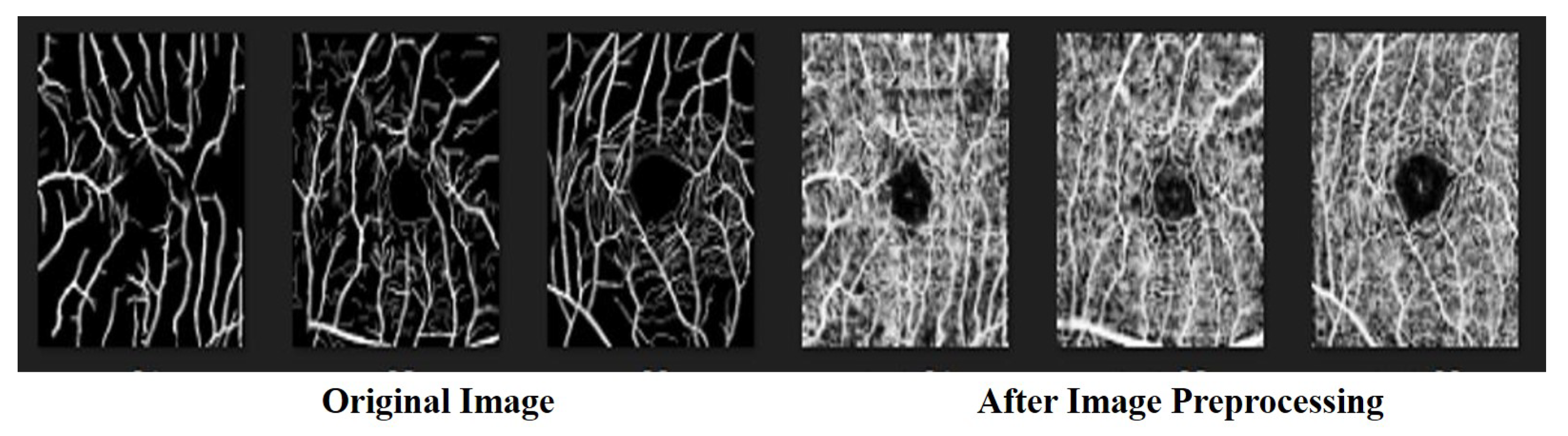 Bioengineering 10 00722 g002