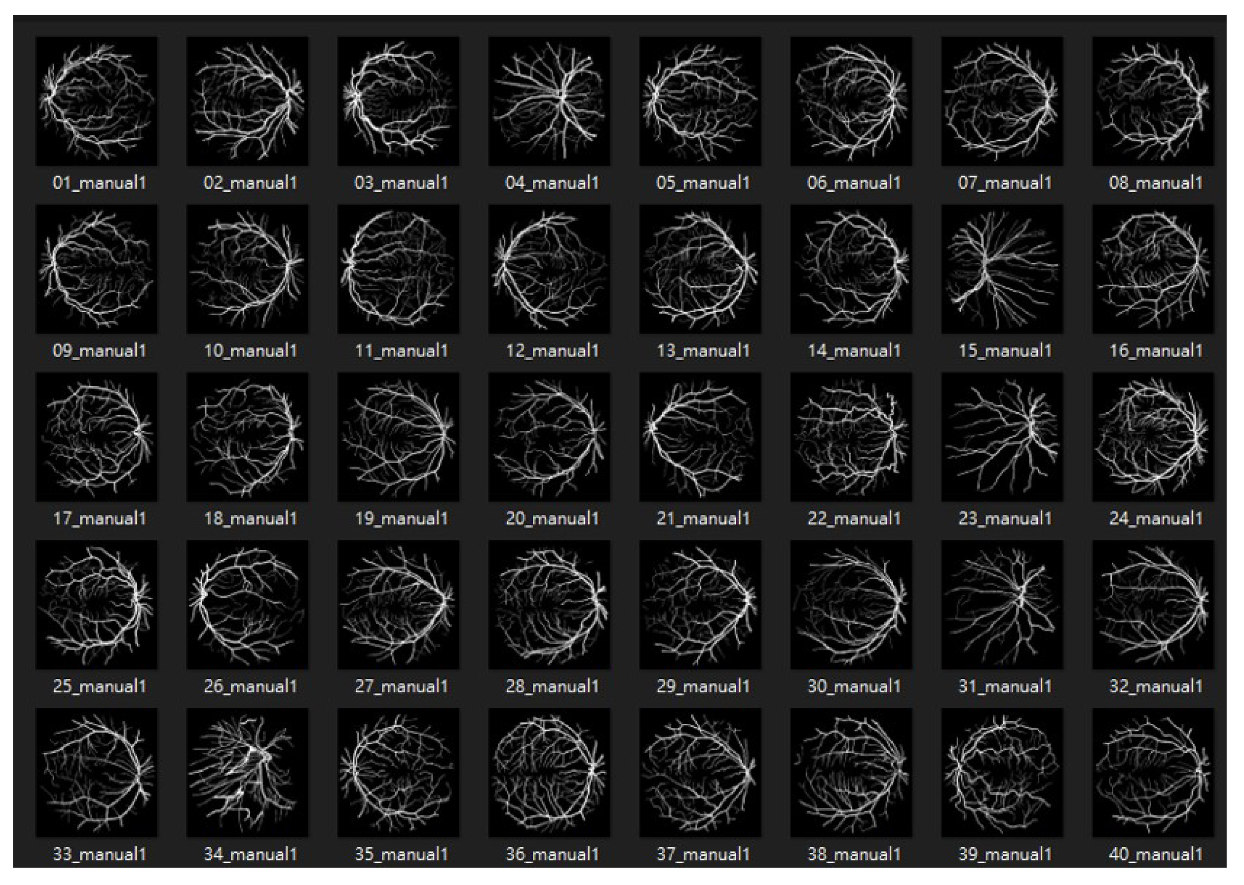 Bioengineering 10 00722 g009