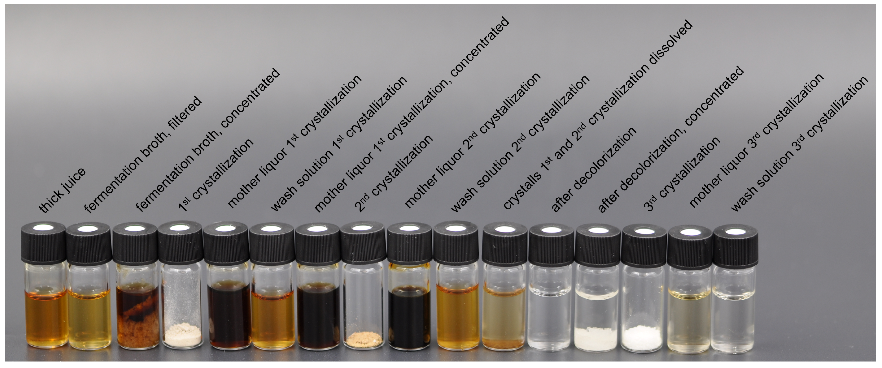 Bioengineering 10 00723 g008