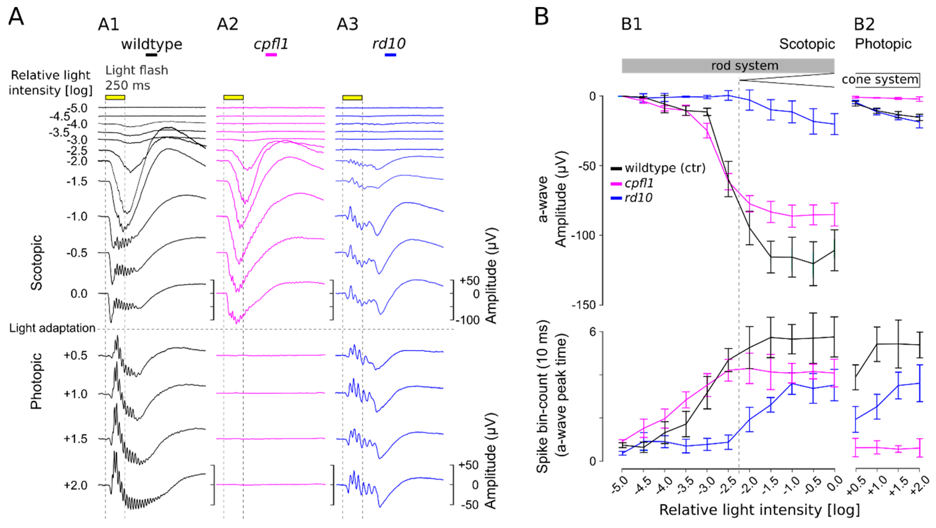 Bioengineering 10 00725 g002