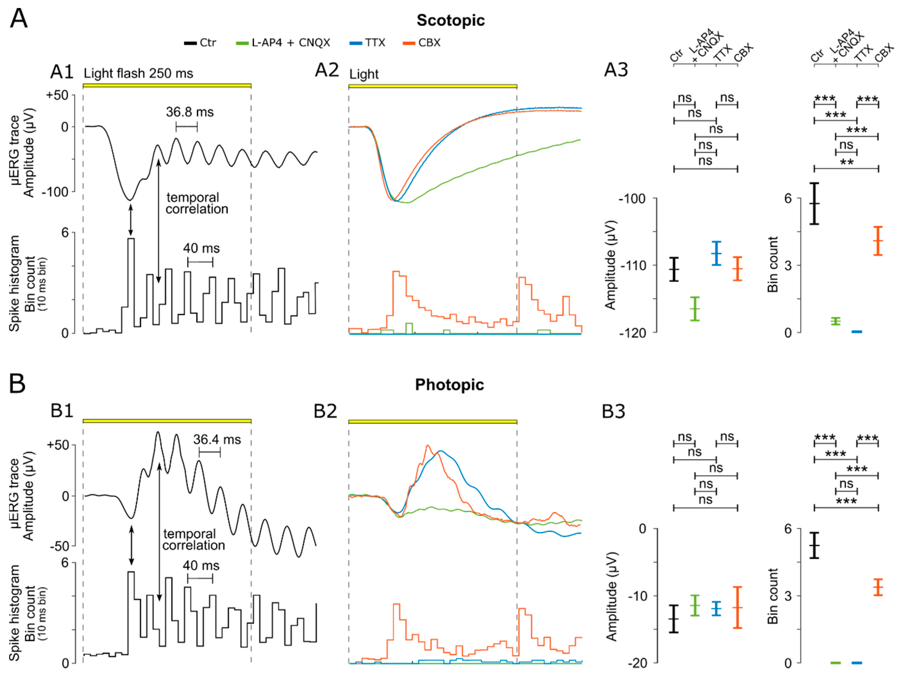 Bioengineering 10 00725 g003
