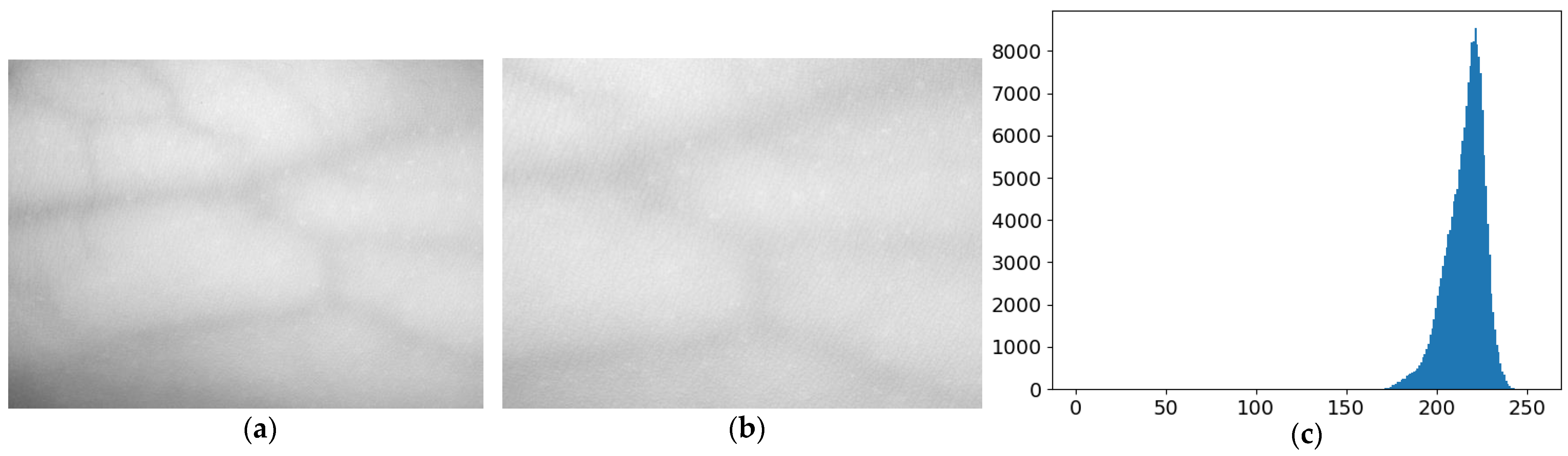 Bioengineering 10 00726 g002