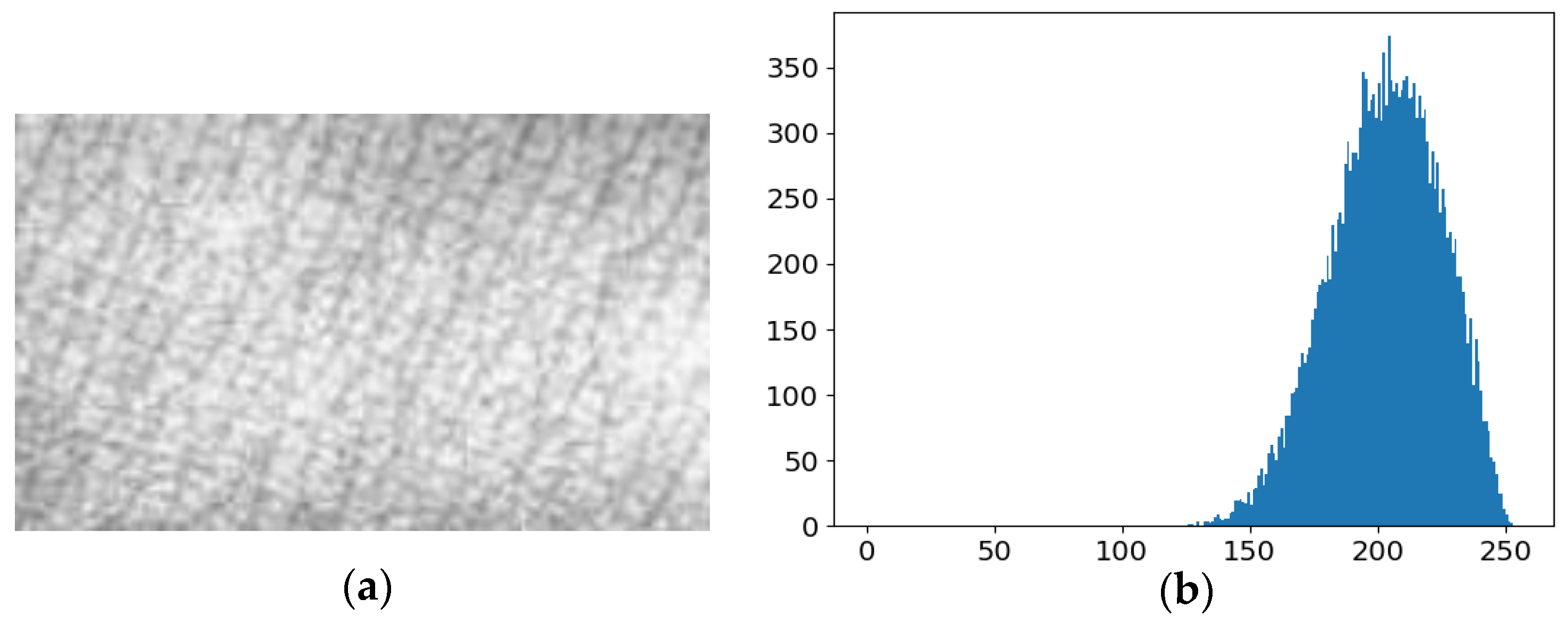 Bioengineering 10 00726 g003