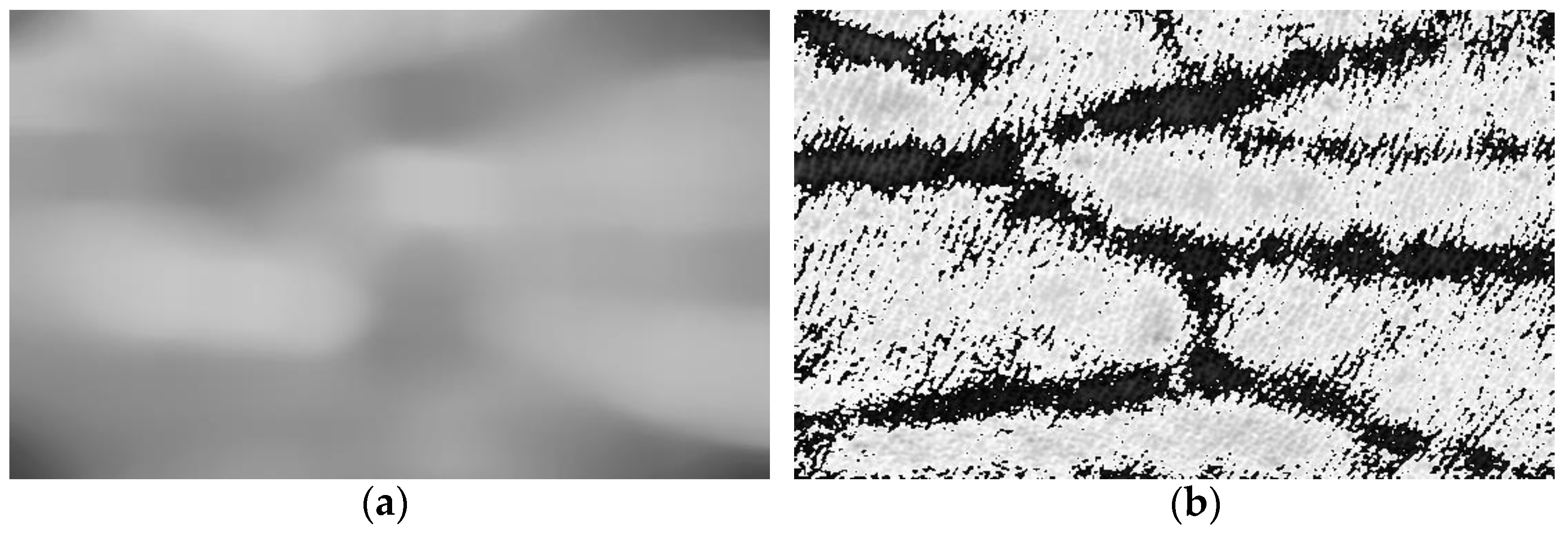 Bioengineering 10 00726 g007