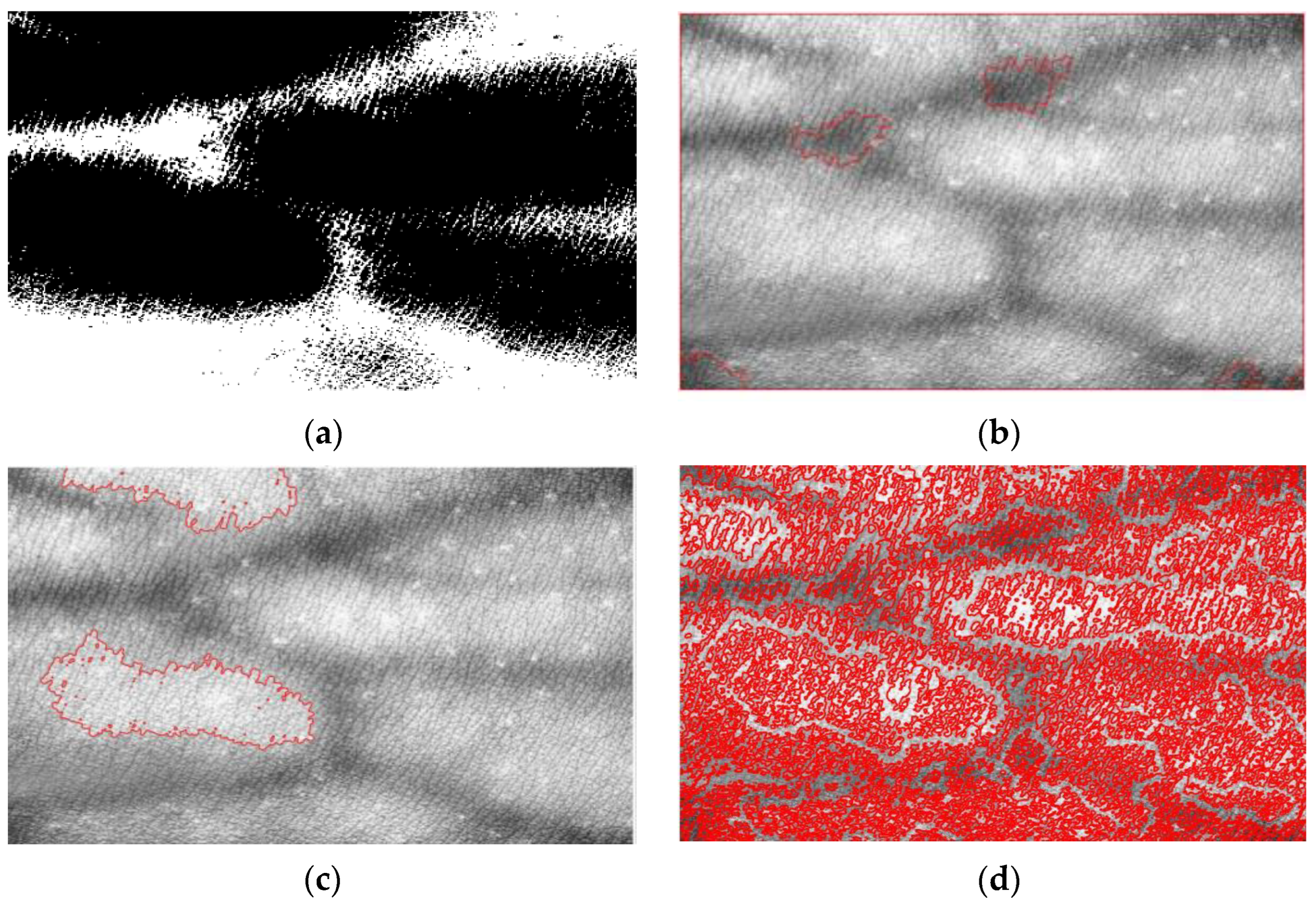 Bioengineering 10 00726 g011