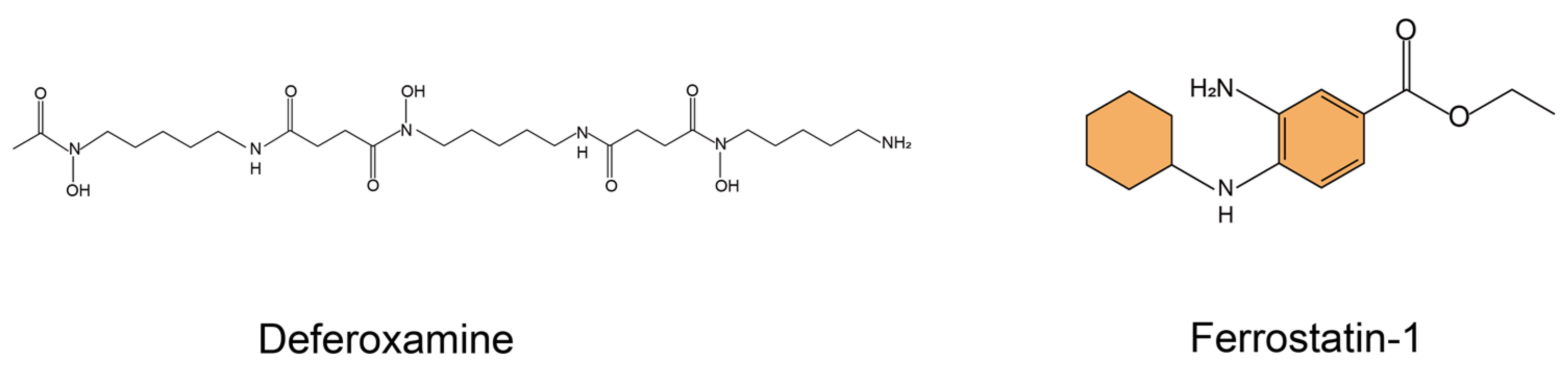 Bioengineering 10 00727 g002