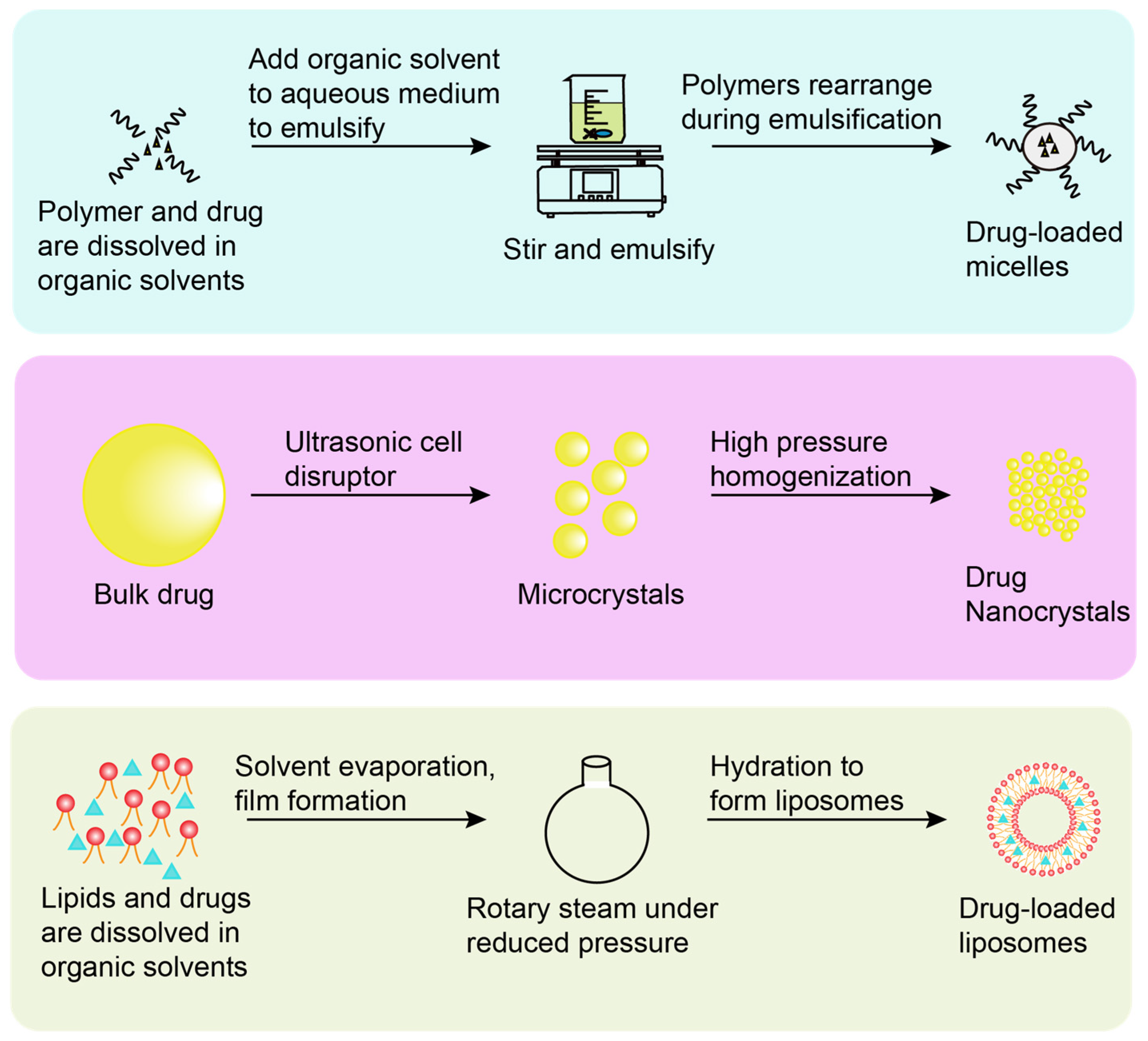 Bioengineering 10 00727 g003