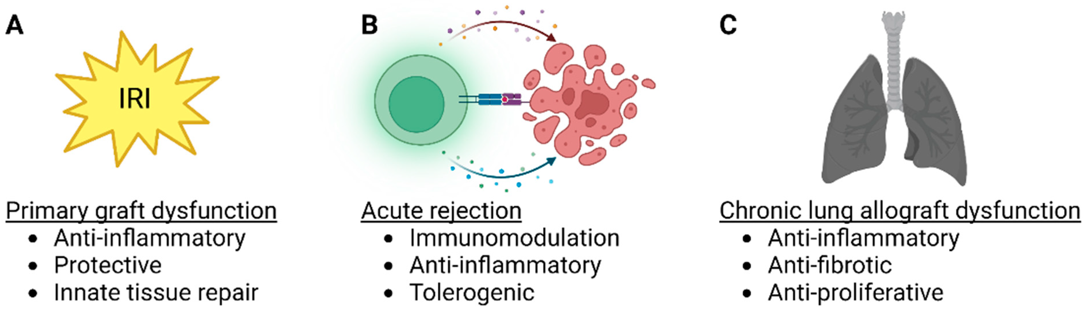 Bioengineering 10 00728 g003