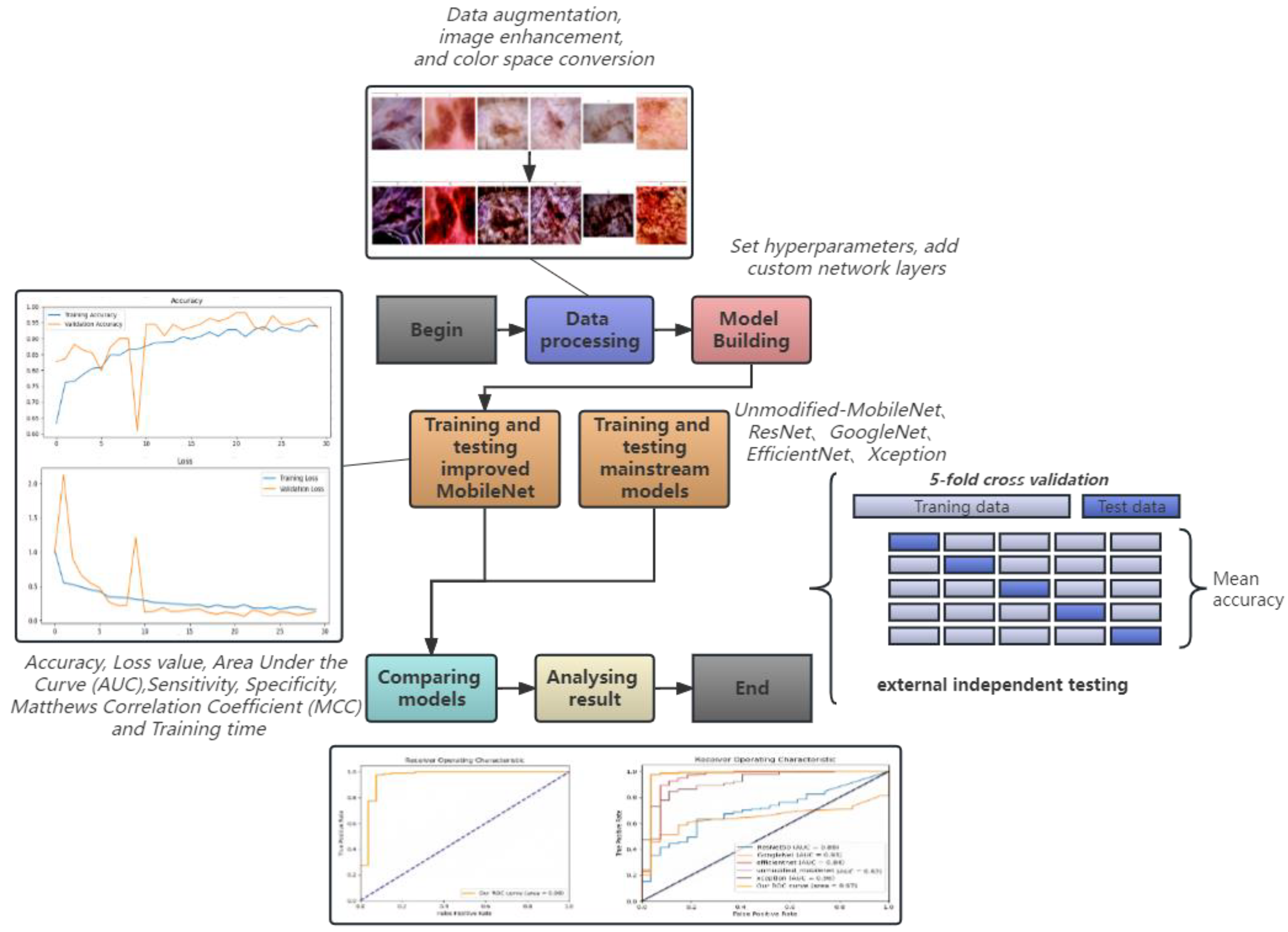 Bioengineering 10 00732 g001