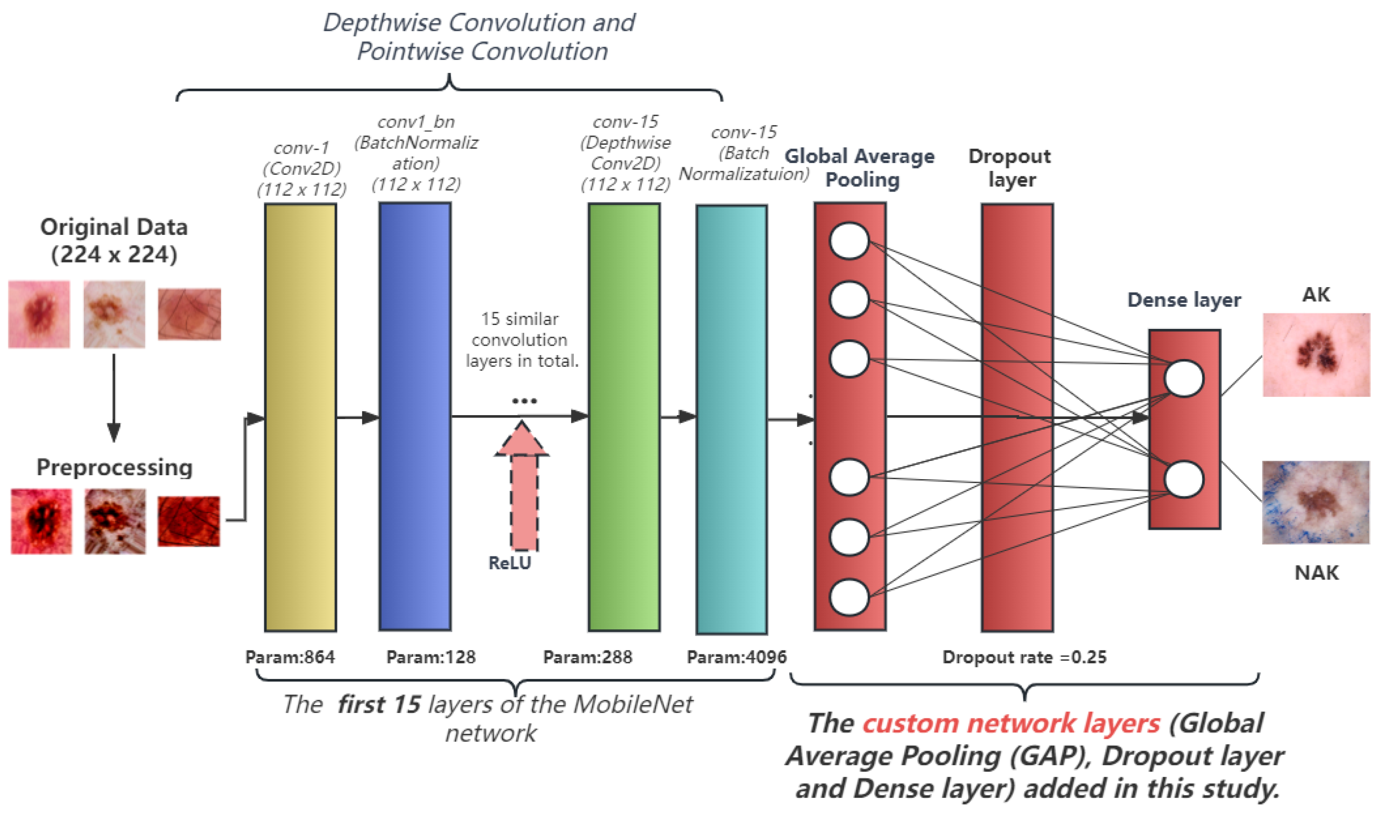 Bioengineering 10 00732 g002
