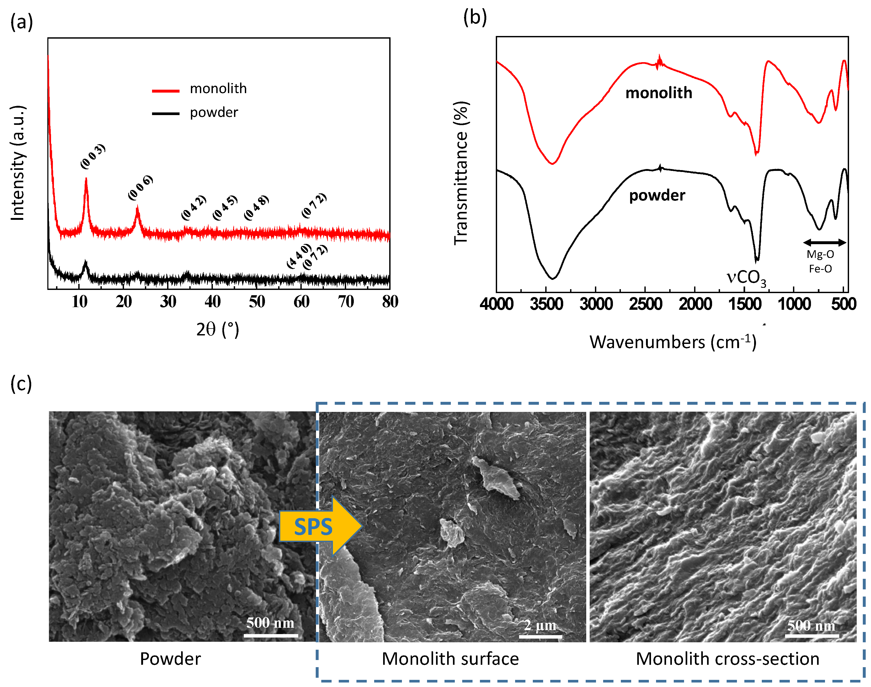 Bioengineering 10 00734 g001 Bioengineering 10 00734 g001