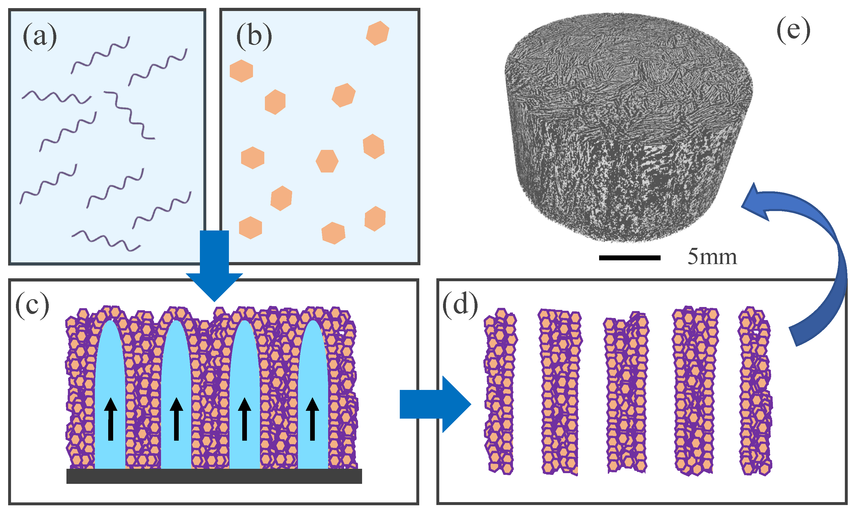 Bioengineering 10 00734 g002 Bioengineering 10 00734 g002