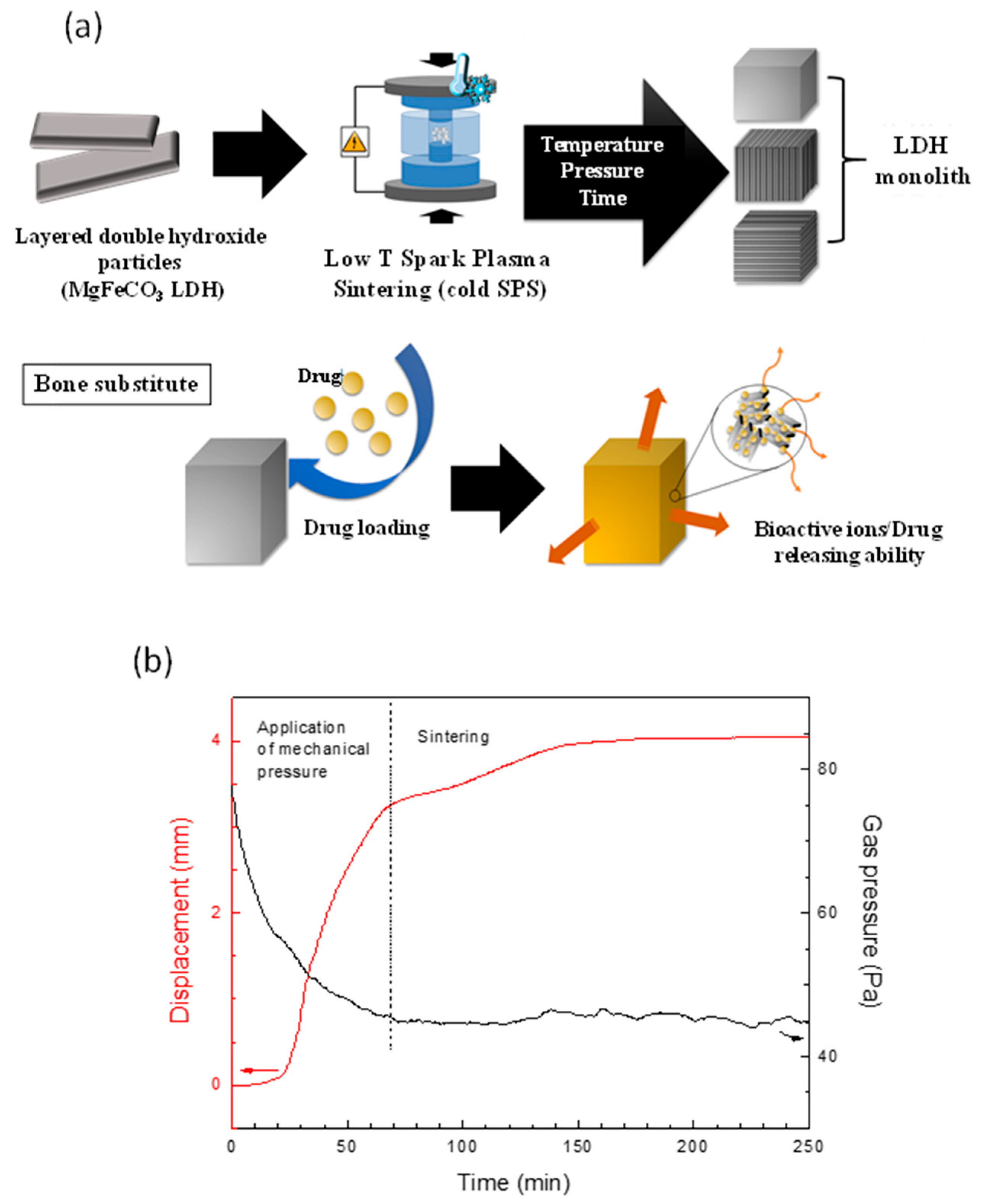 Bioengineering 10 00734 g004 Bioengineering 10 00734 g004