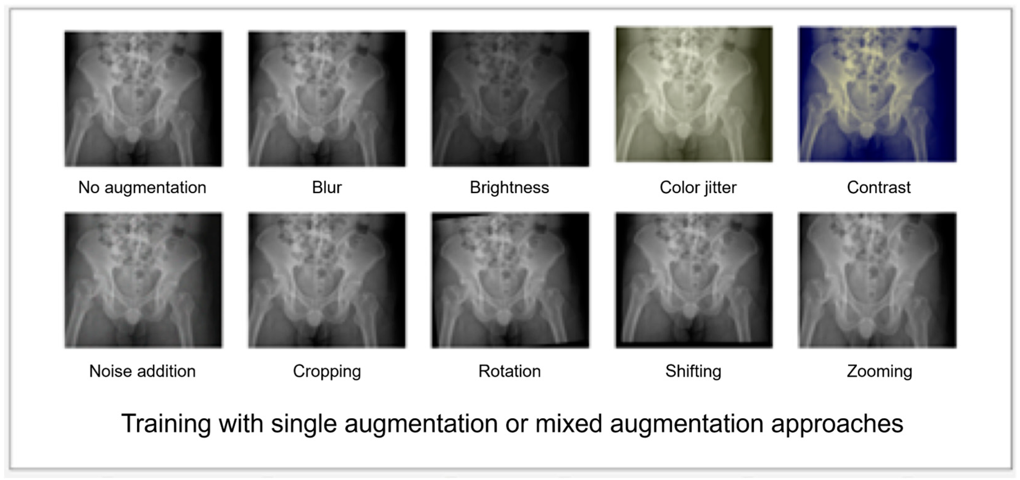 Bioengineering 10 00735 g002