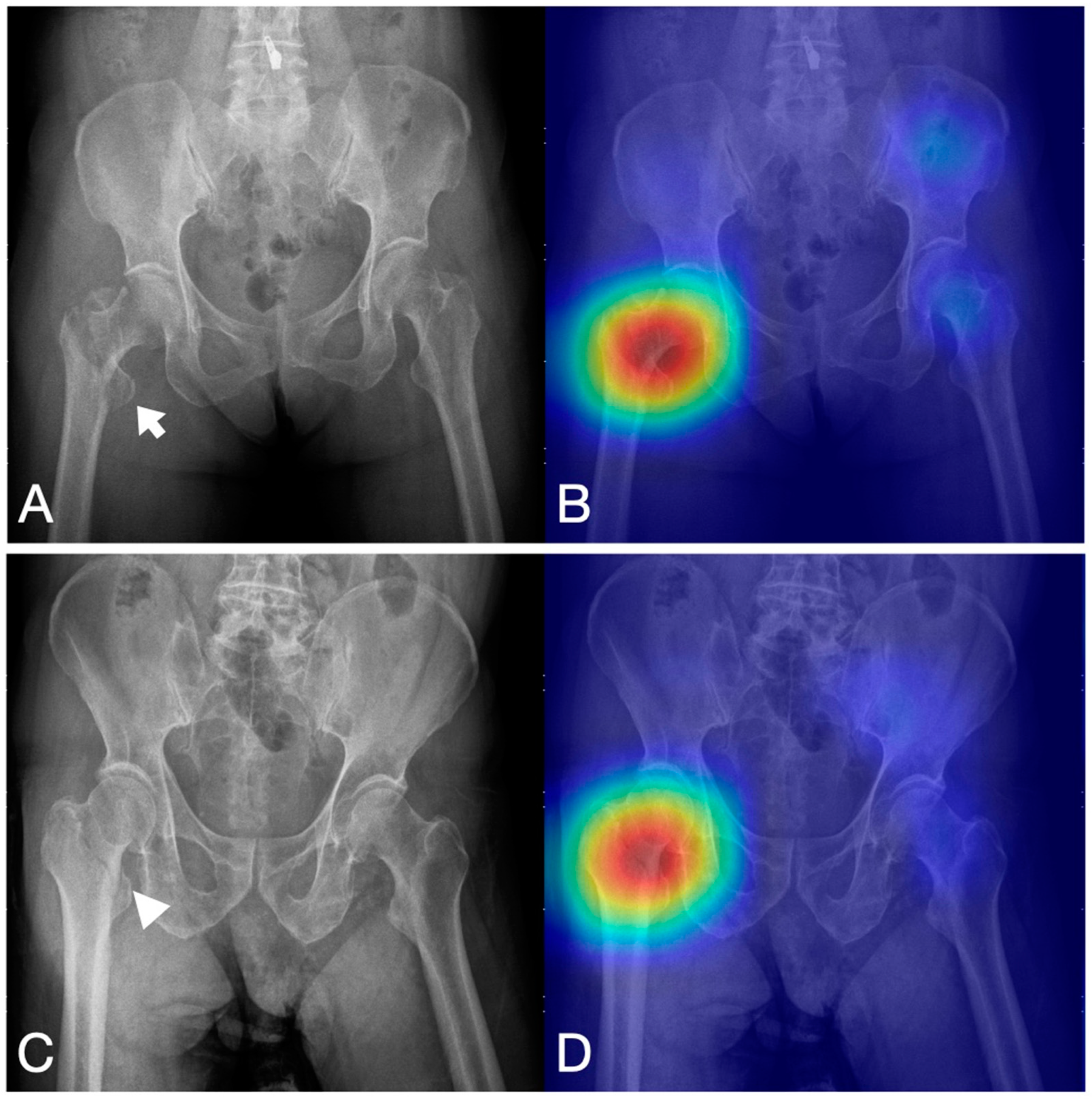 Bioengineering 10 00735 g003