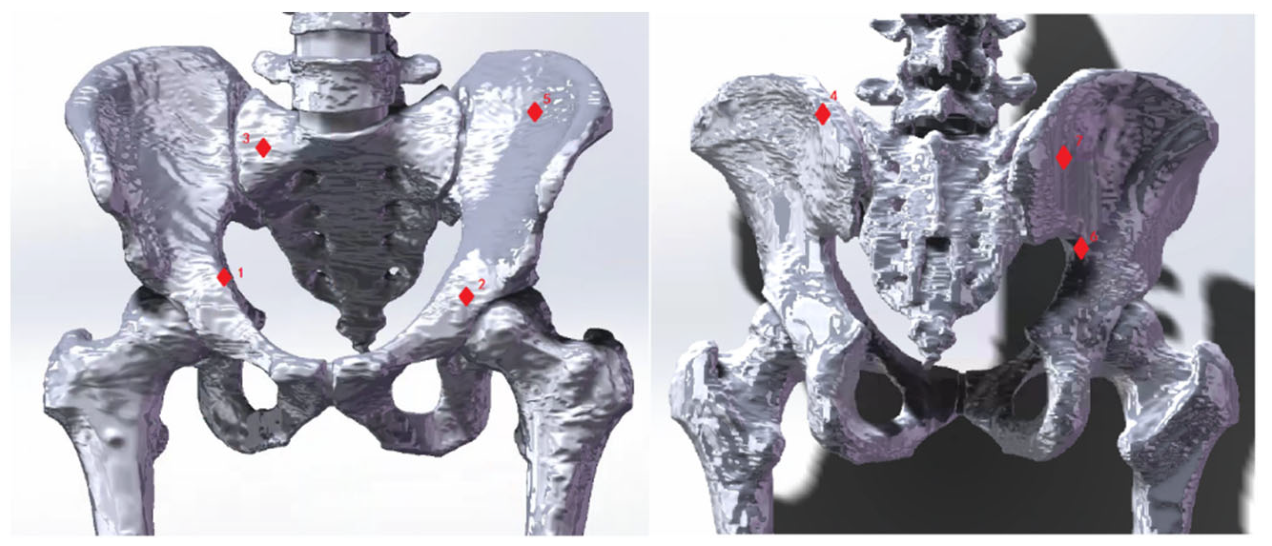 Bioengineering 10 00736 g003