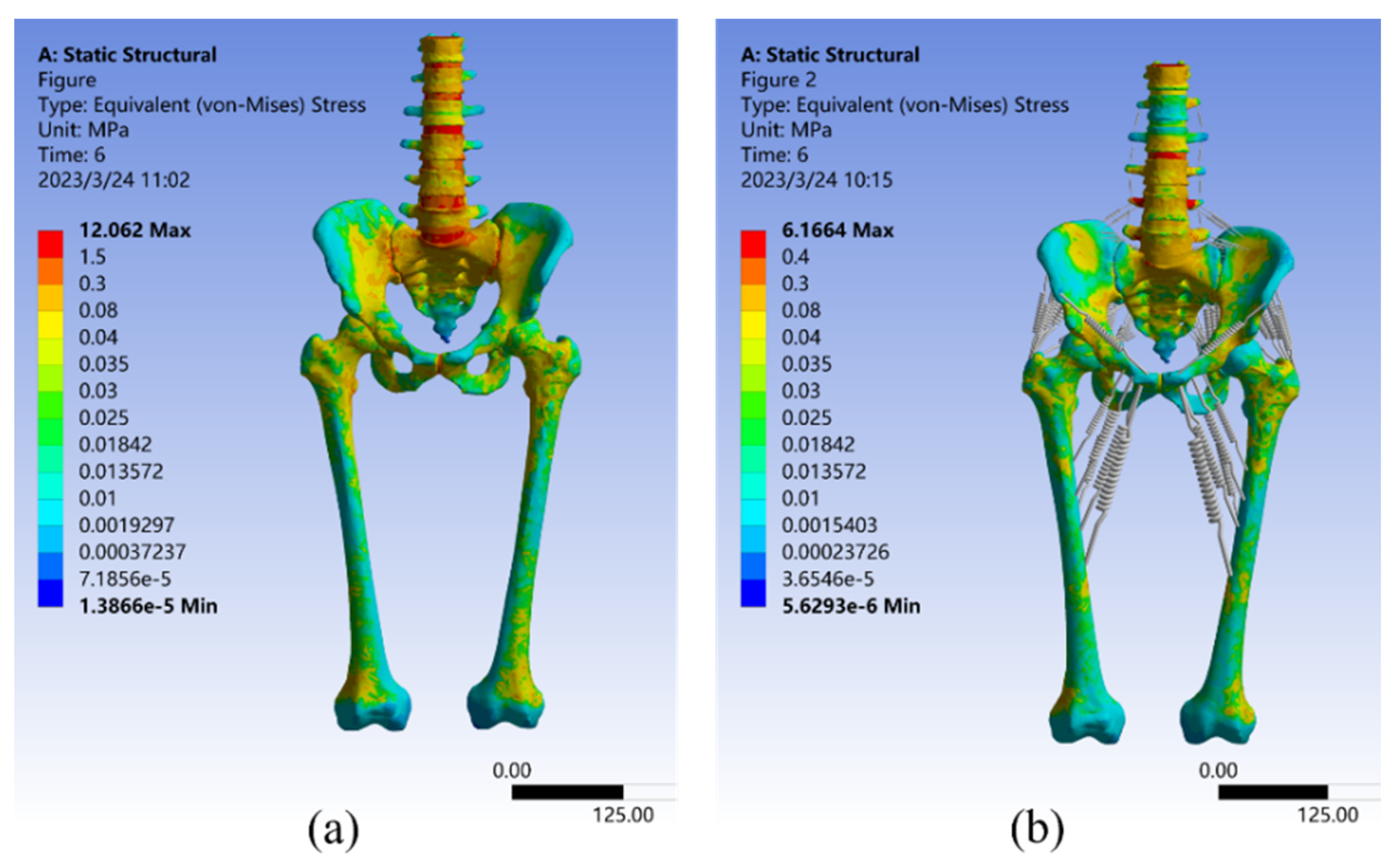 Bioengineering 10 00736 g006