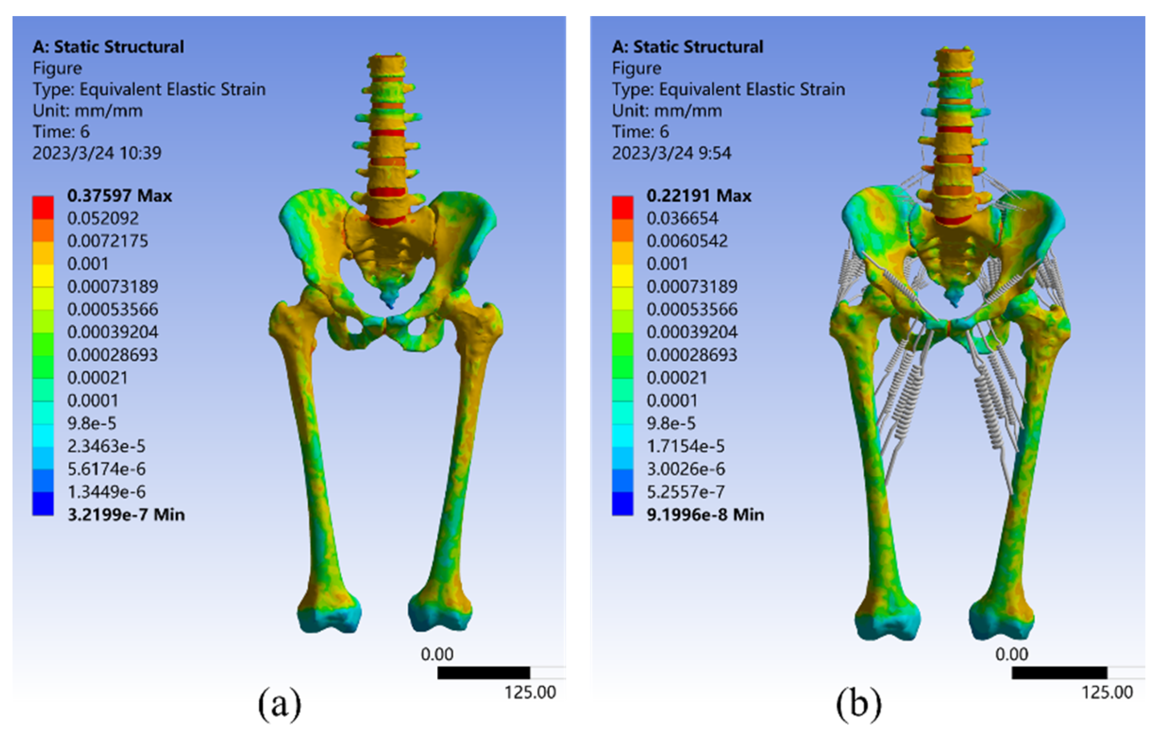 Bioengineering 10 00736 g007