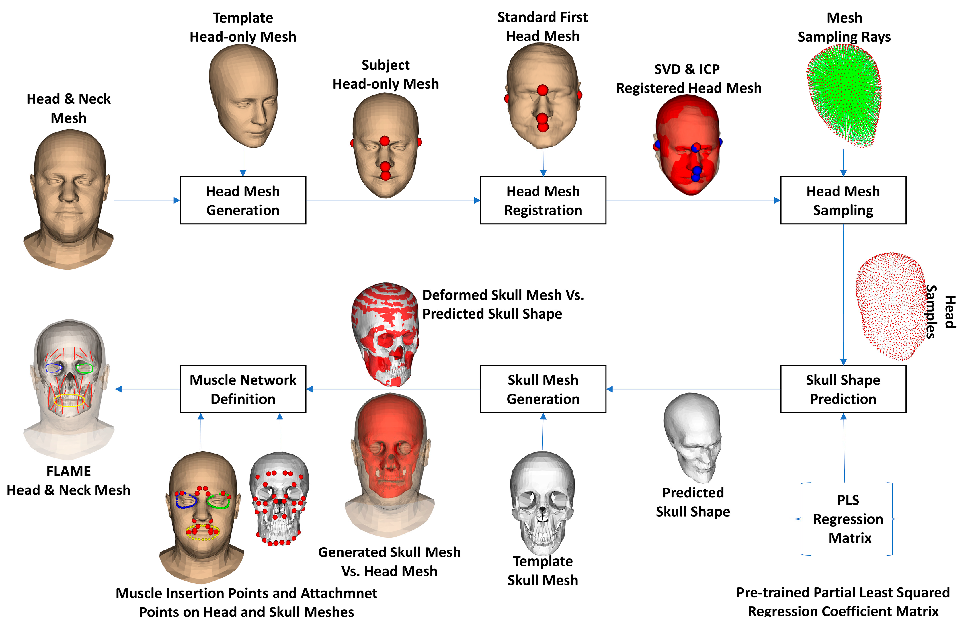 Bioengineering 10 00737 g003