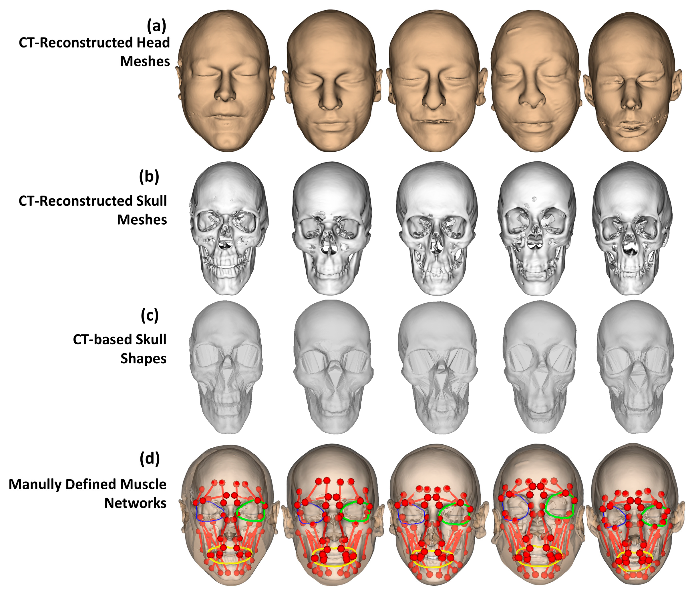 Bioengineering 10 00737 g005
