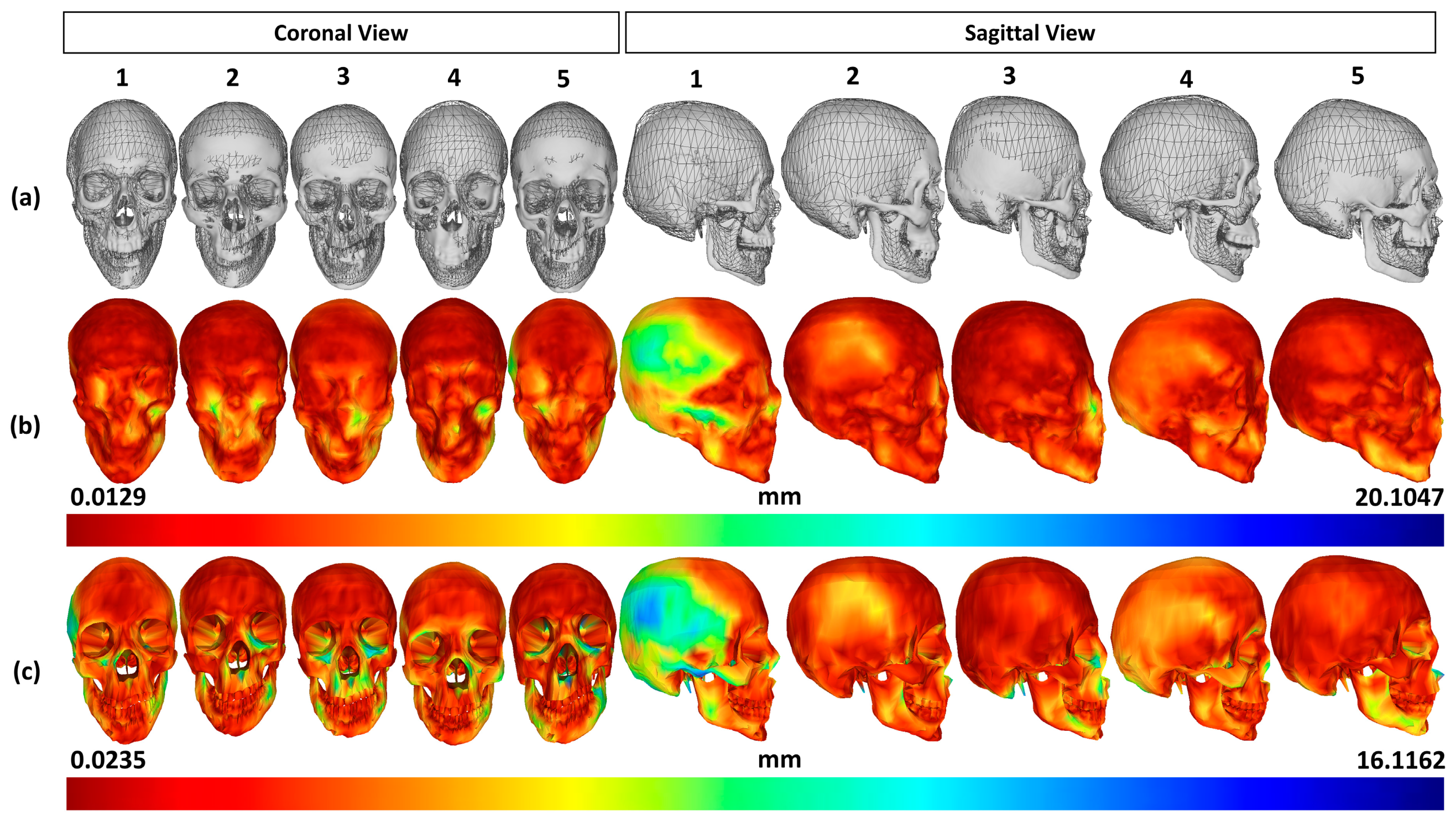 Bioengineering 10 00737 g006