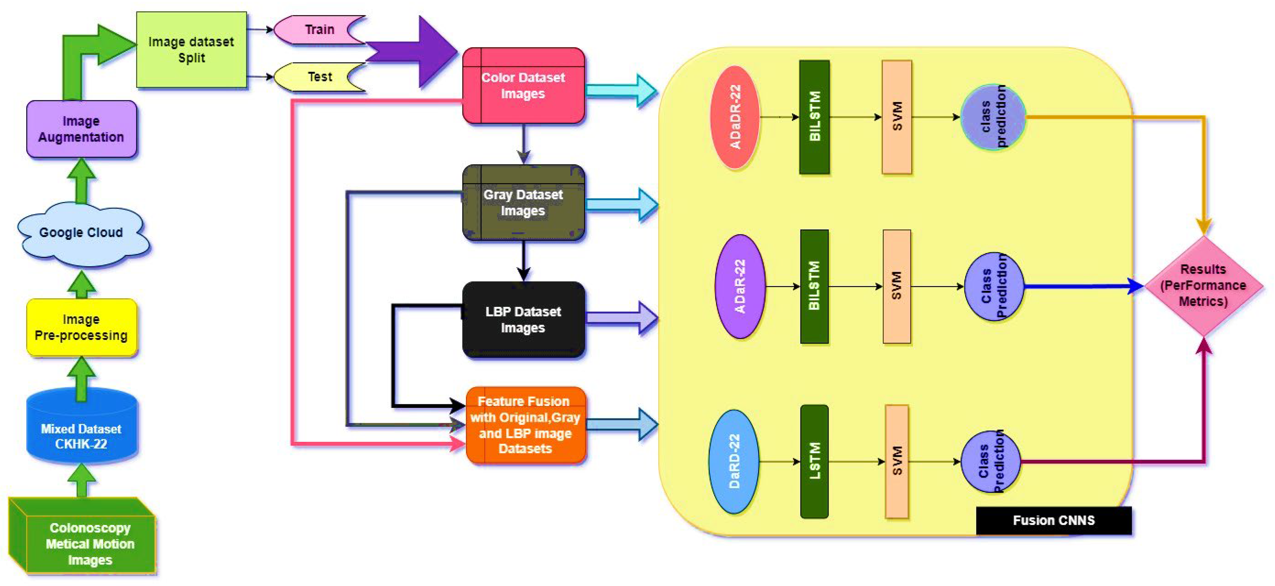 Bioengineering 10 00738 g001