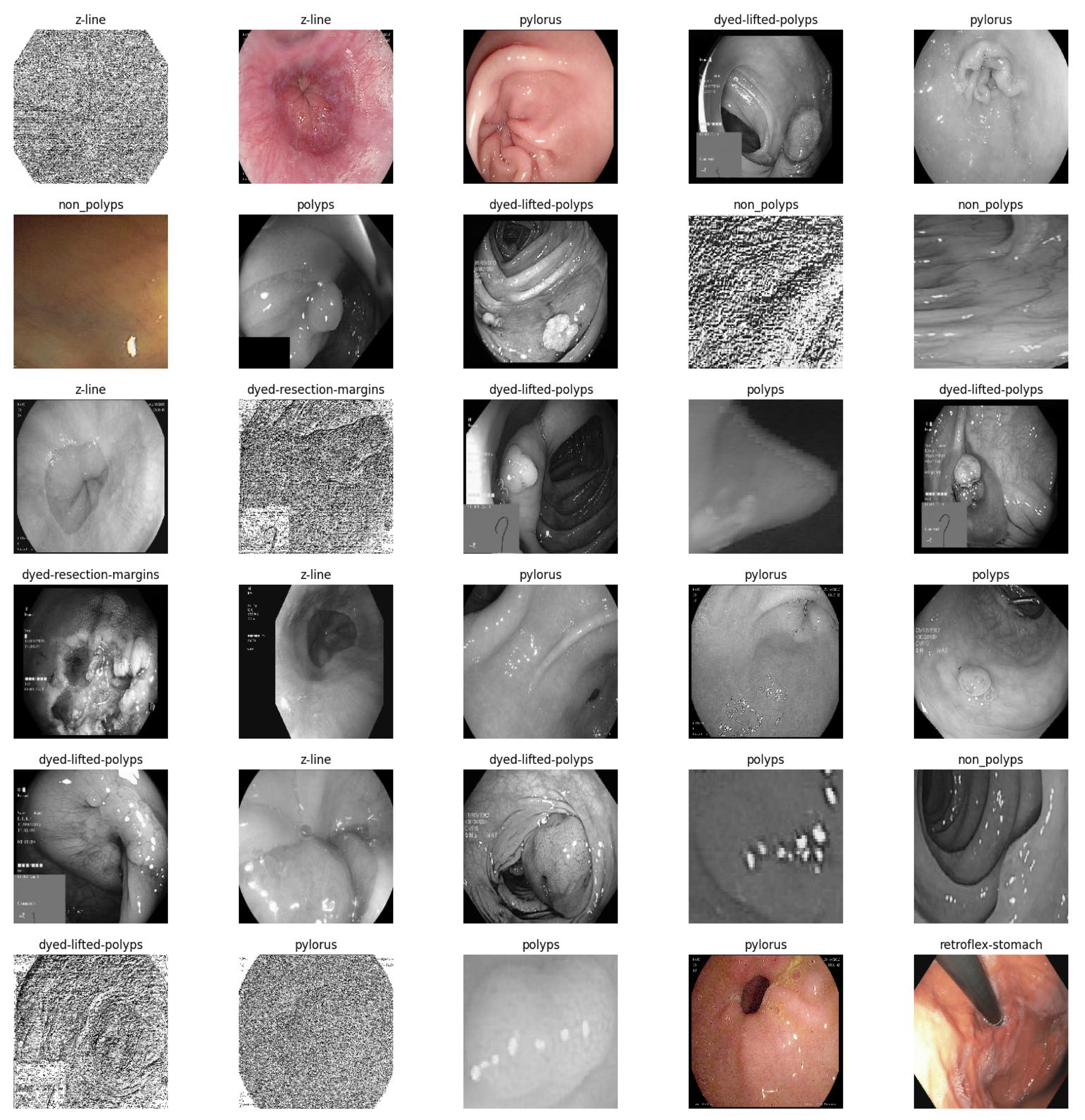 Bioengineering 10 00738 g005