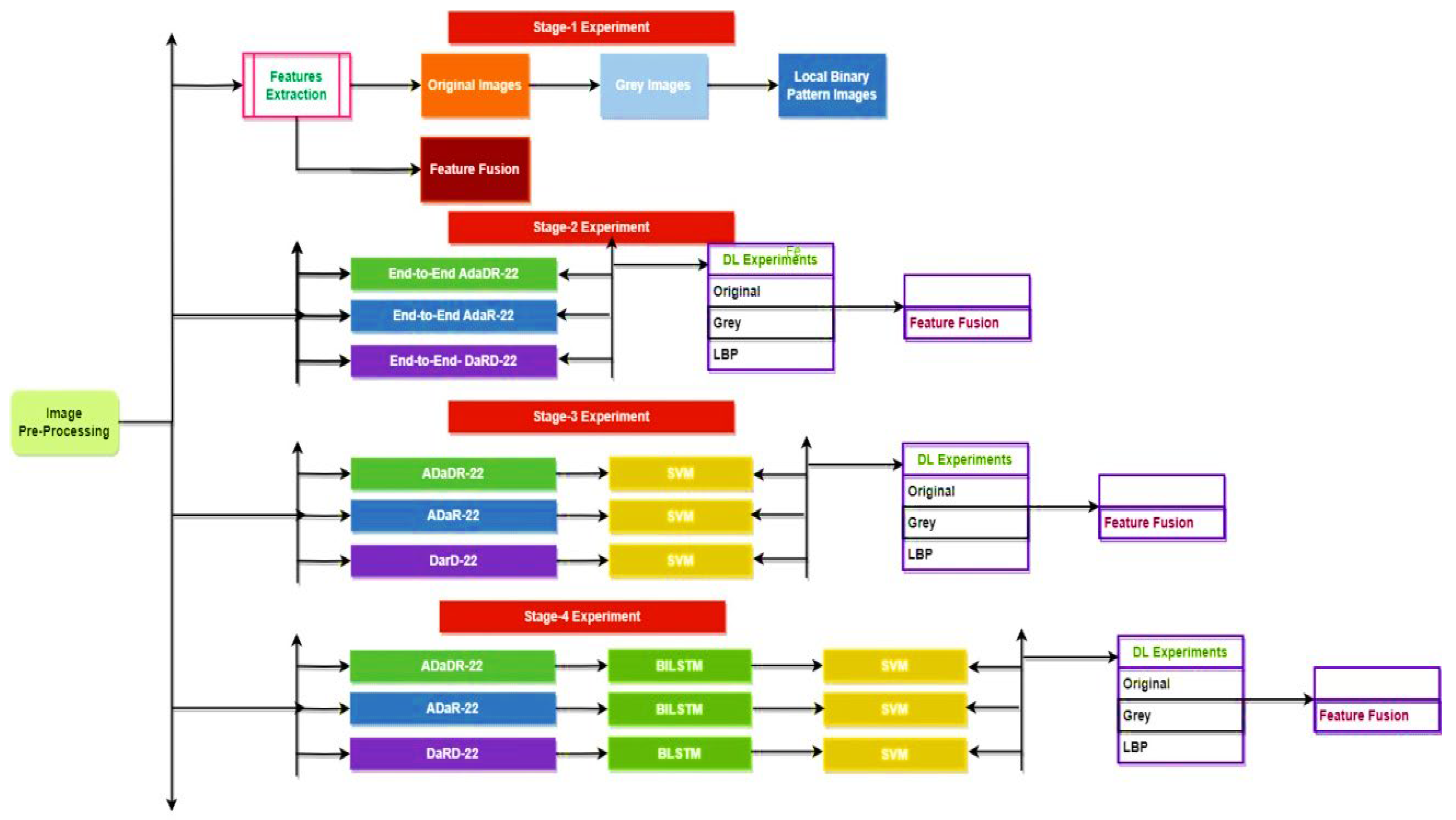 Bioengineering 10 00738 g012