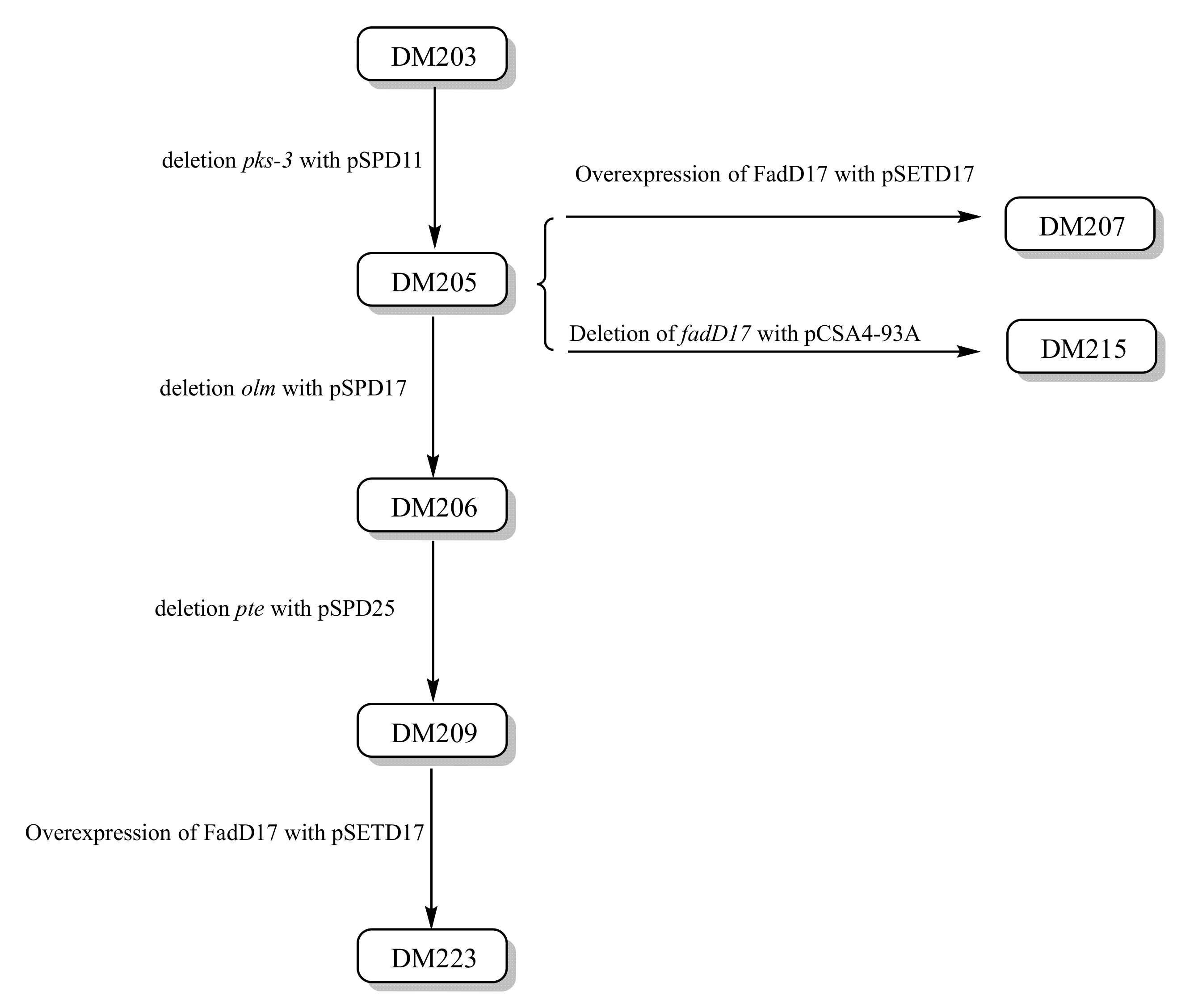 Bioengineering 10 00739 g005 Bioengineering 10 00739 g005