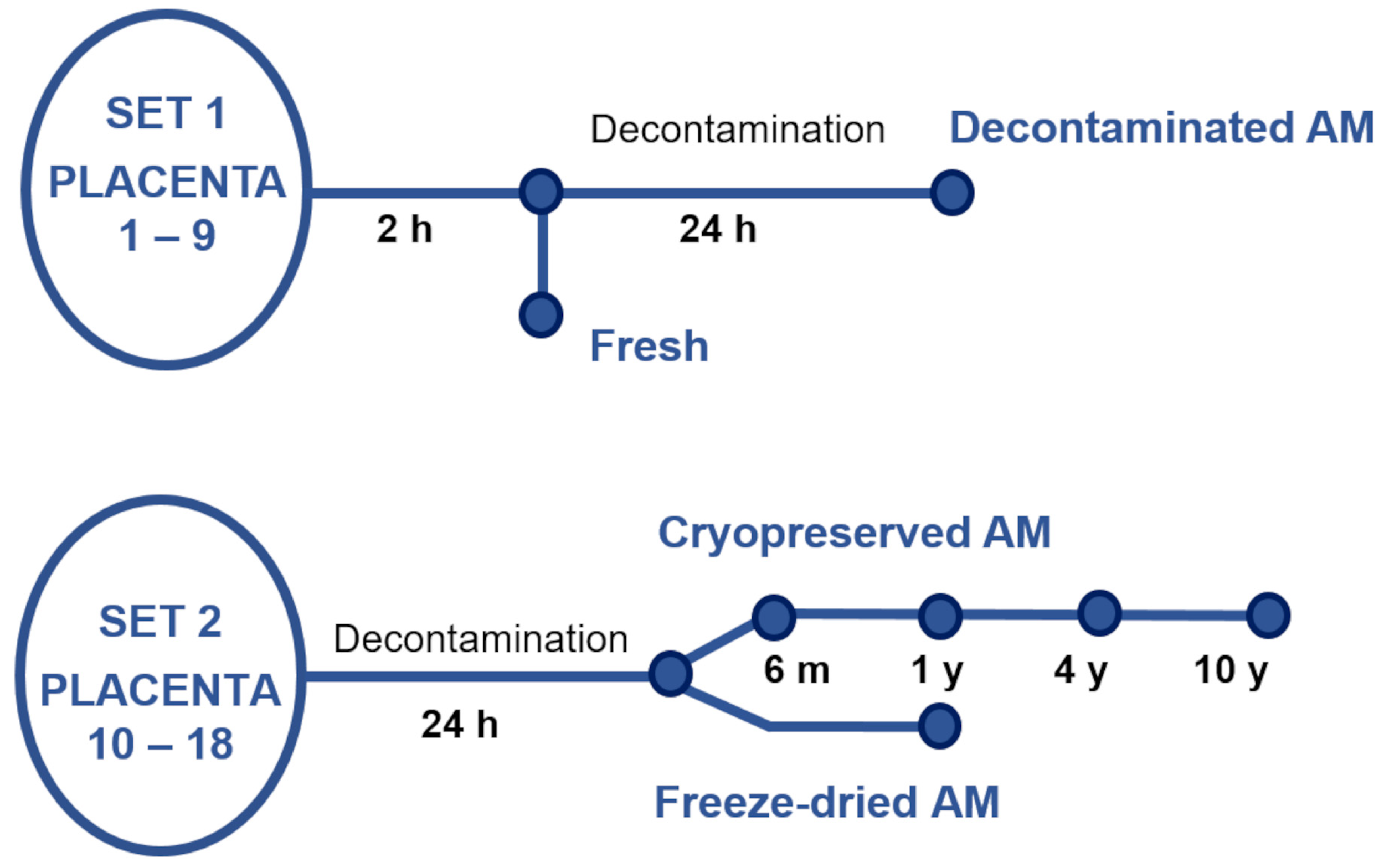 Bioengineering 10 00740 g001