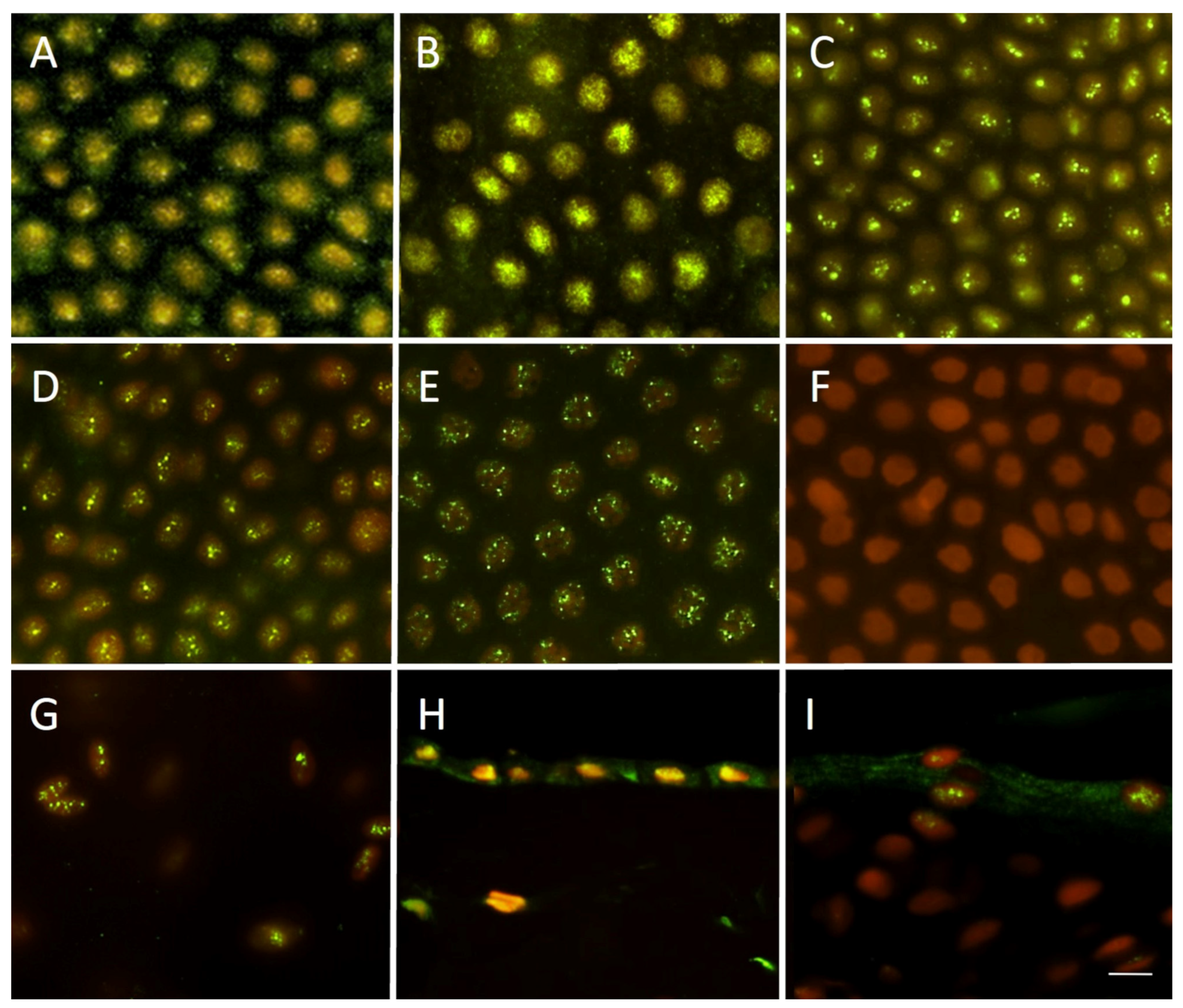 Bioengineering 10 00740 g003