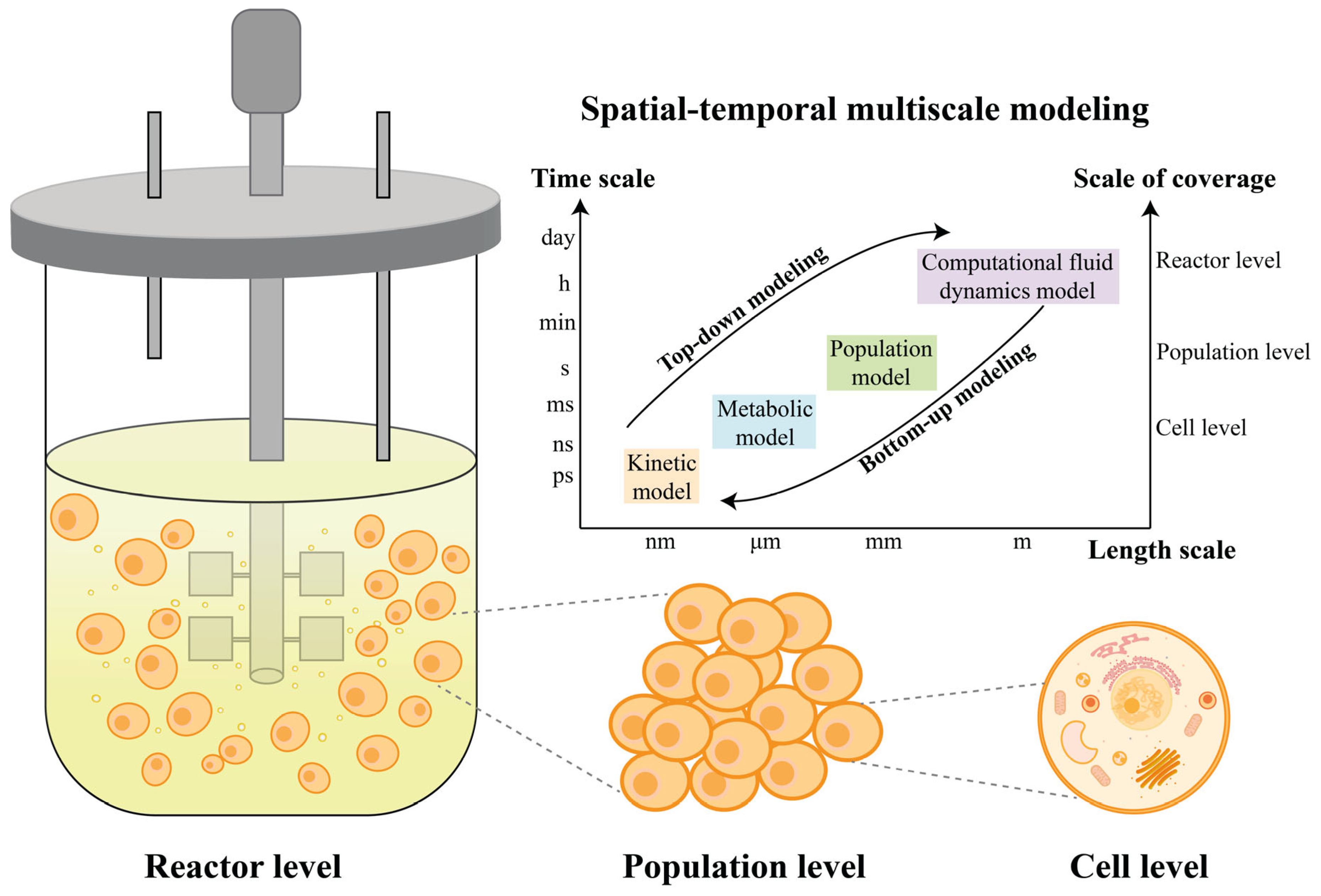 Bioengineering 10 00744 g002