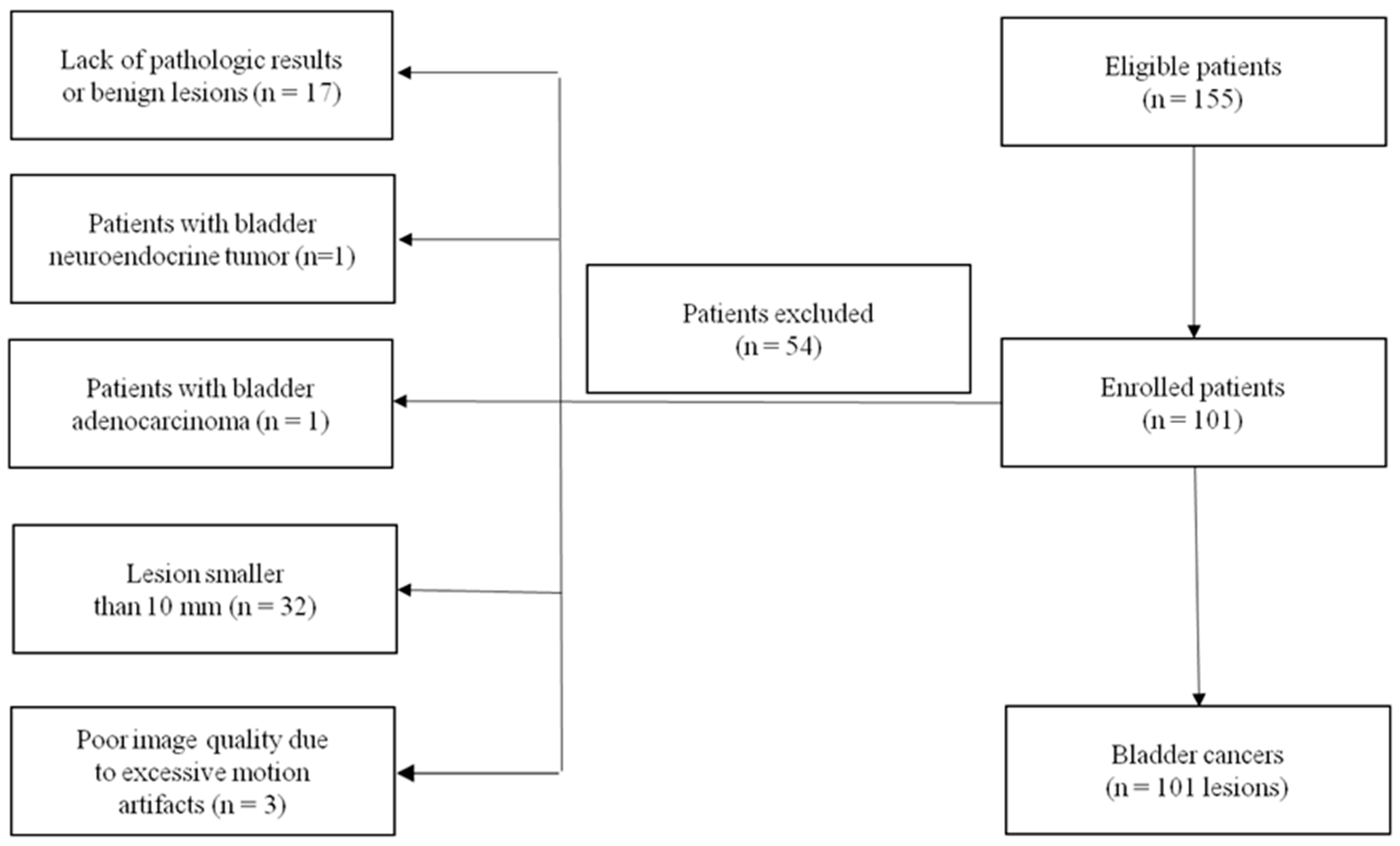 Bioengineering 10 00745 g001 Bioengineering 10 00745 g001