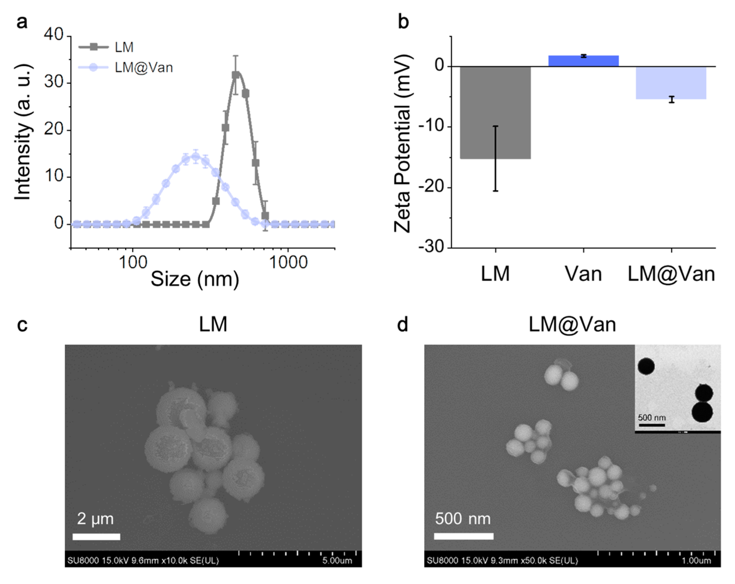 Bioengineering 10 00748 g002 Bioengineering 10 00748 g002