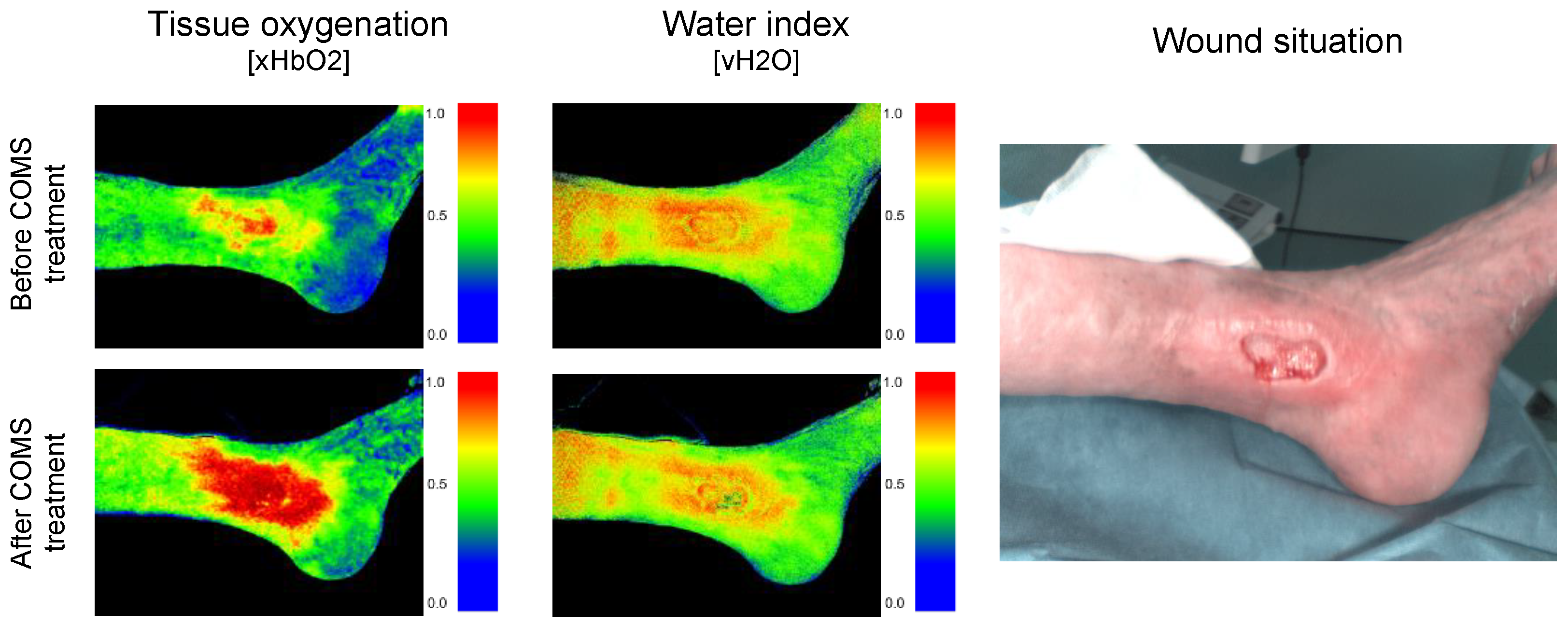 Bioengineering 10 00750 g003 Bioengineering 10 00750 g003