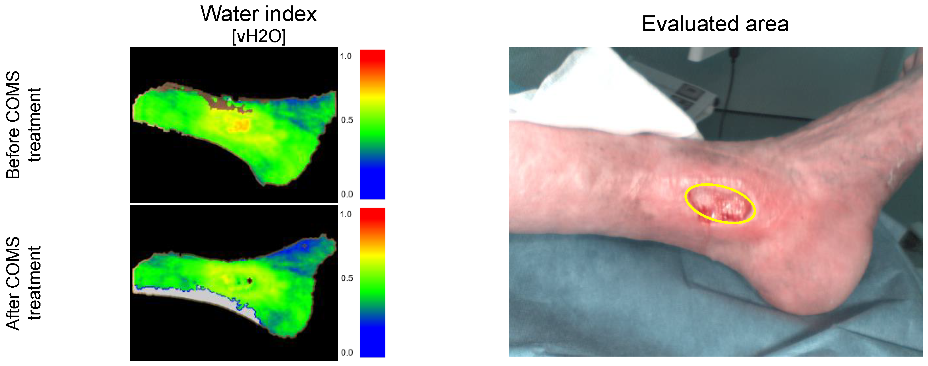 Bioengineering 10 00750 g006 Bioengineering 10 00750 g006