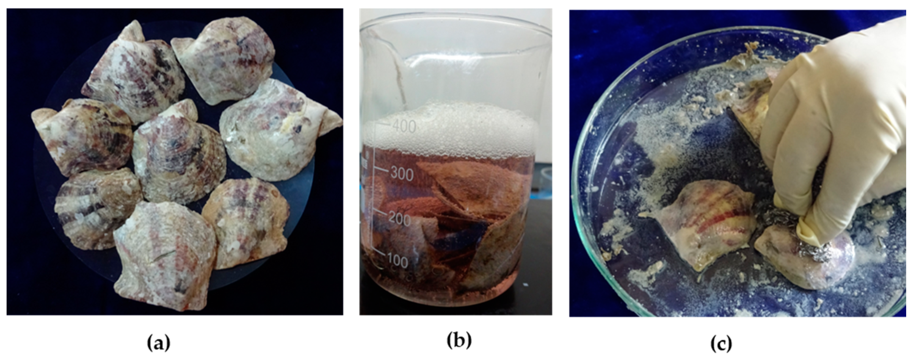 Bioengineering 10 00752 g001 Bioengineering 10 00752 g001