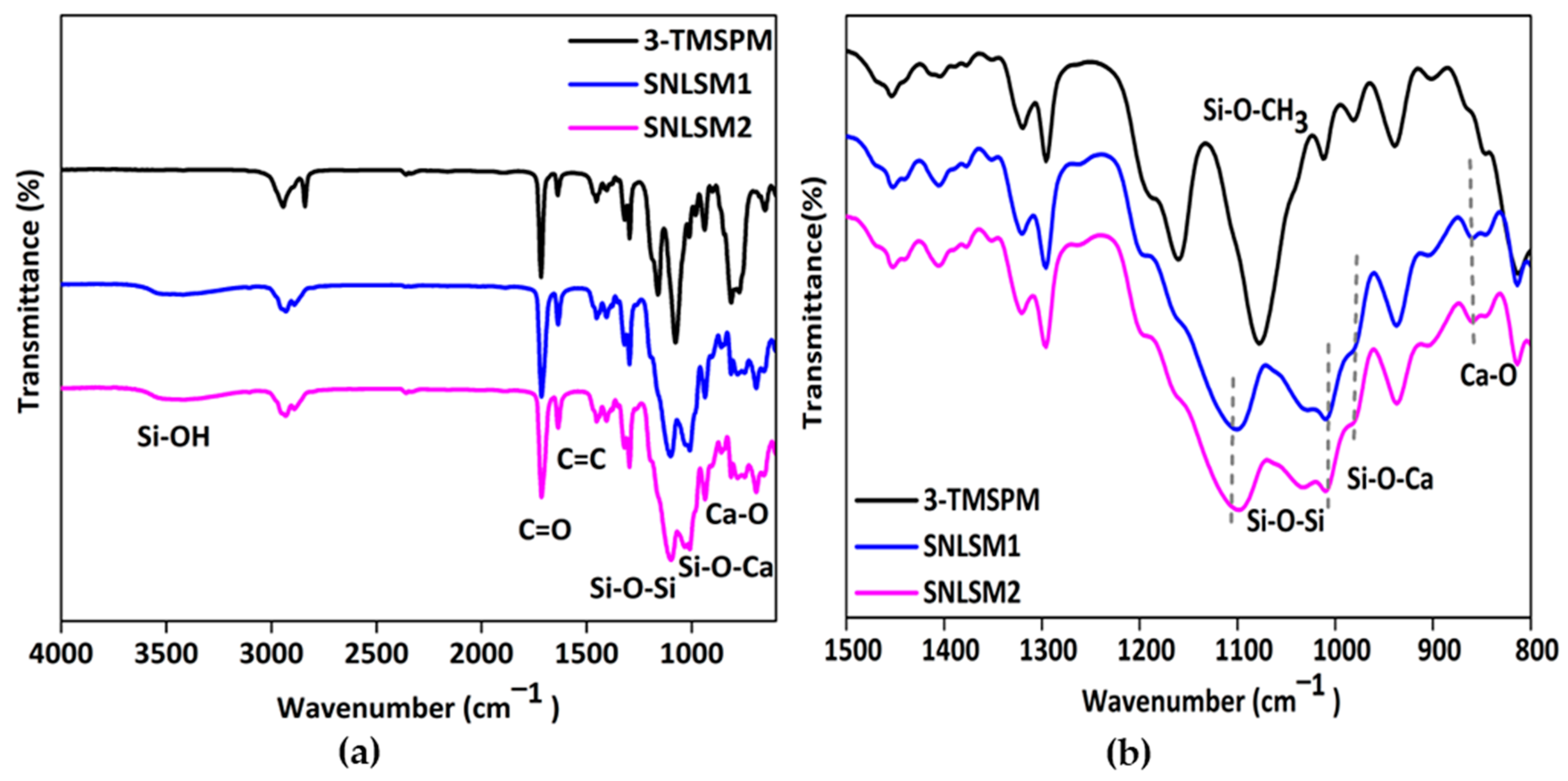 Bioengineering 10 00752 g007 Bioengineering 10 00752 g007